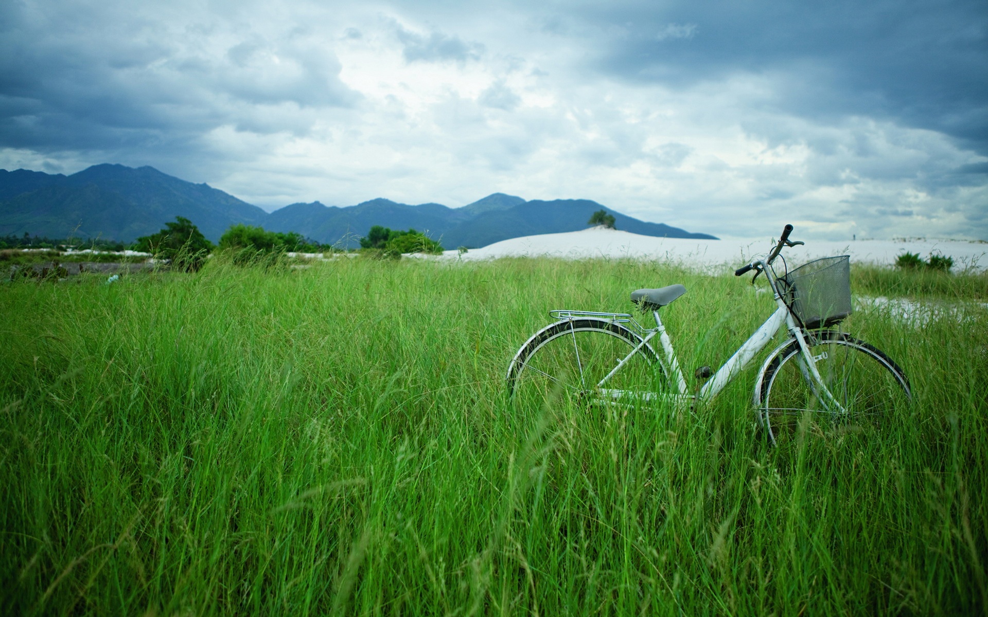 小清新,护眼壁纸,儿童桌面专用