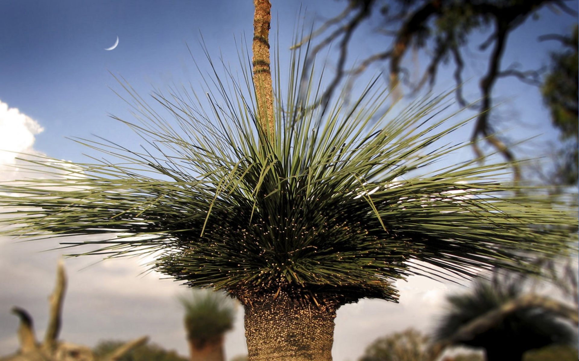 世界地理,精美,风光,风景,高清,2012Y十月31D,儿童桌面专用