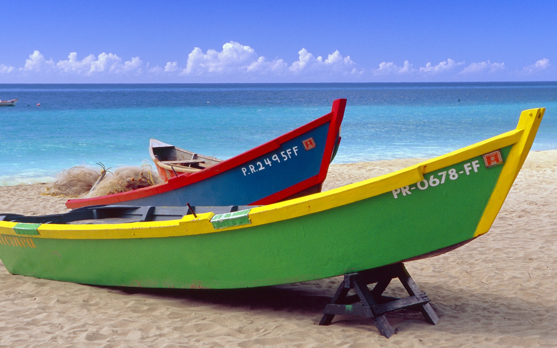 Webshots,2010年,十一月,精美,风光,动物,摄影,2012Y十月31D,儿童桌面专用