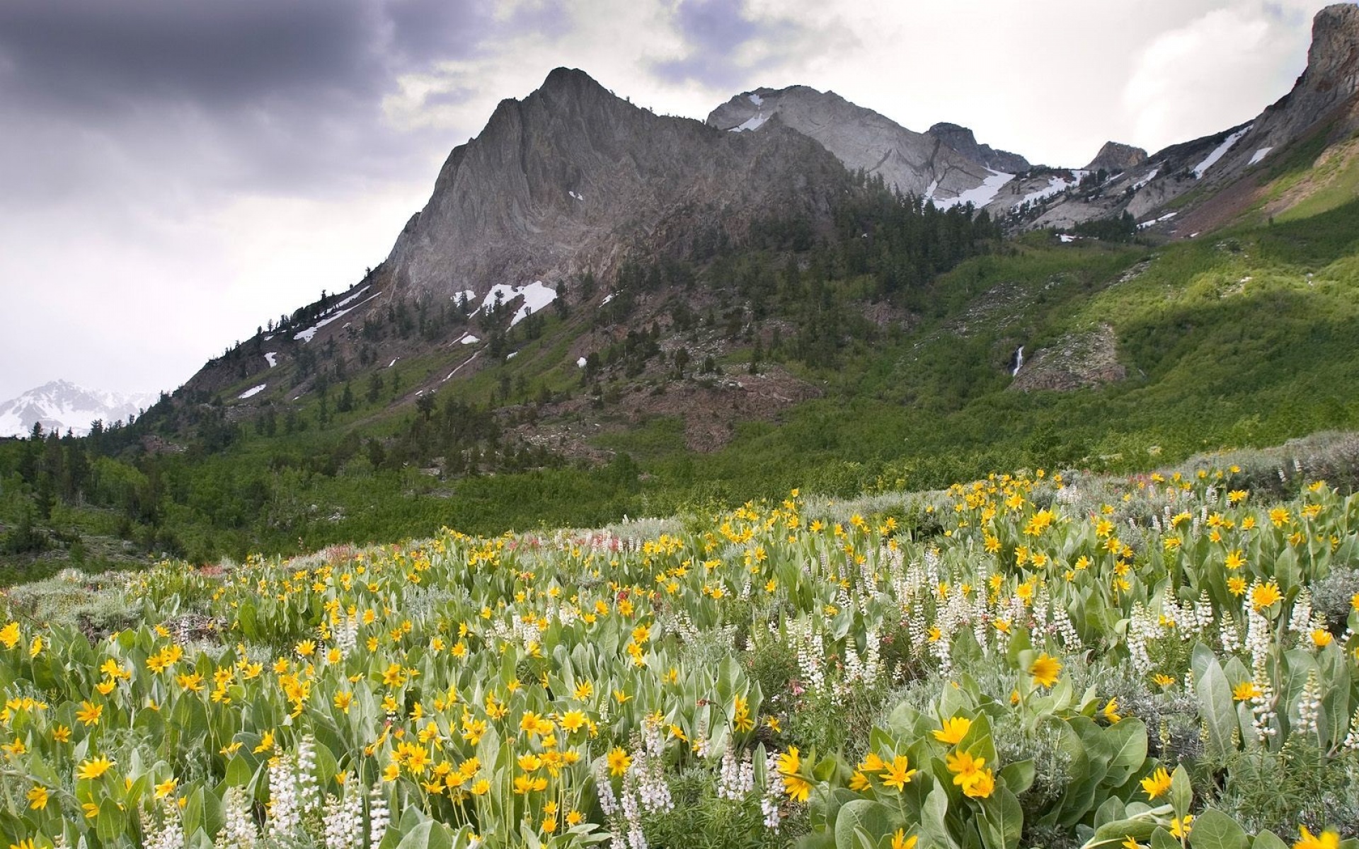 风景,自然风光,2012Y十一月16D,儿童桌面专用