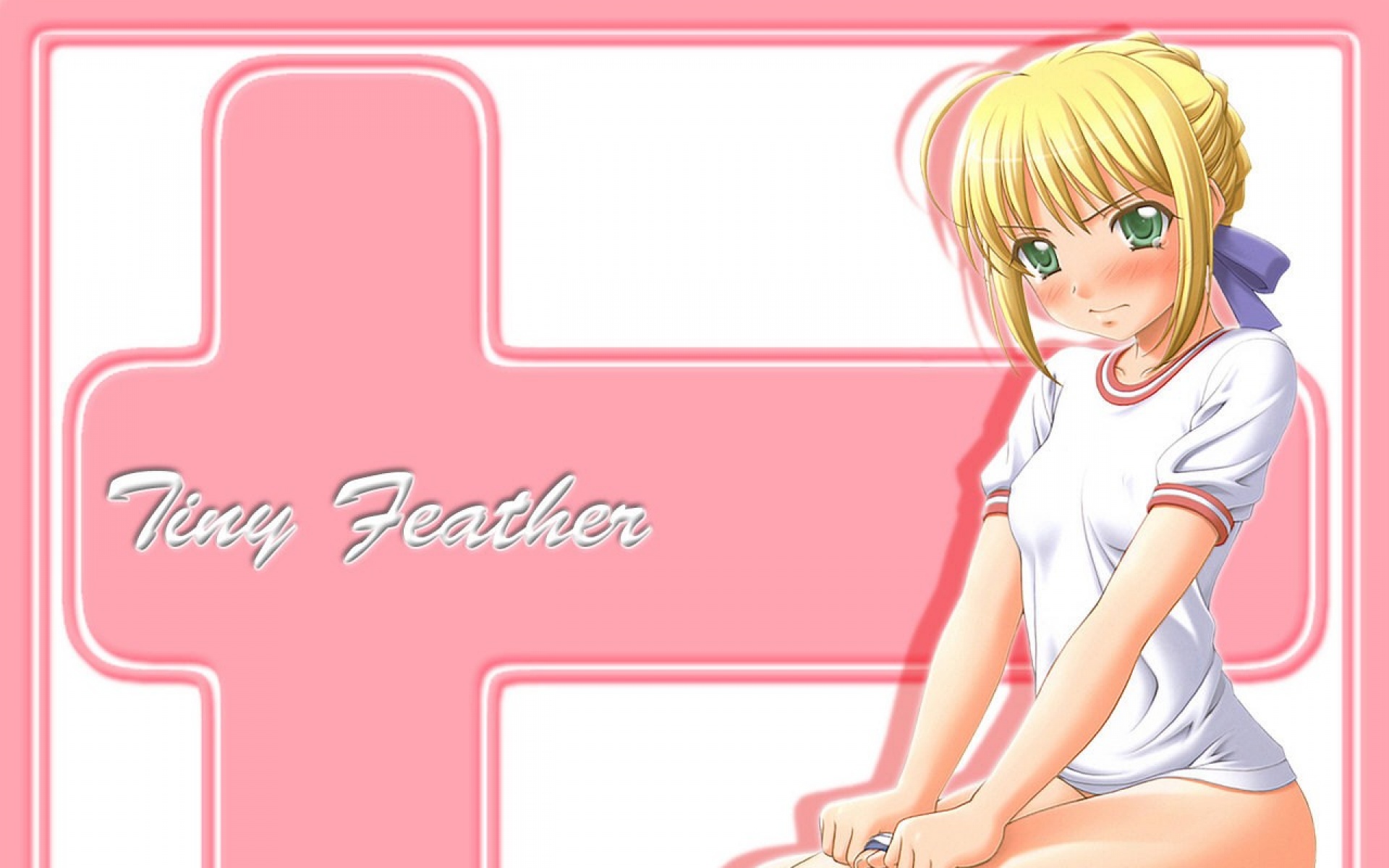 命运守护夜,游戏,2012Y十一月21D