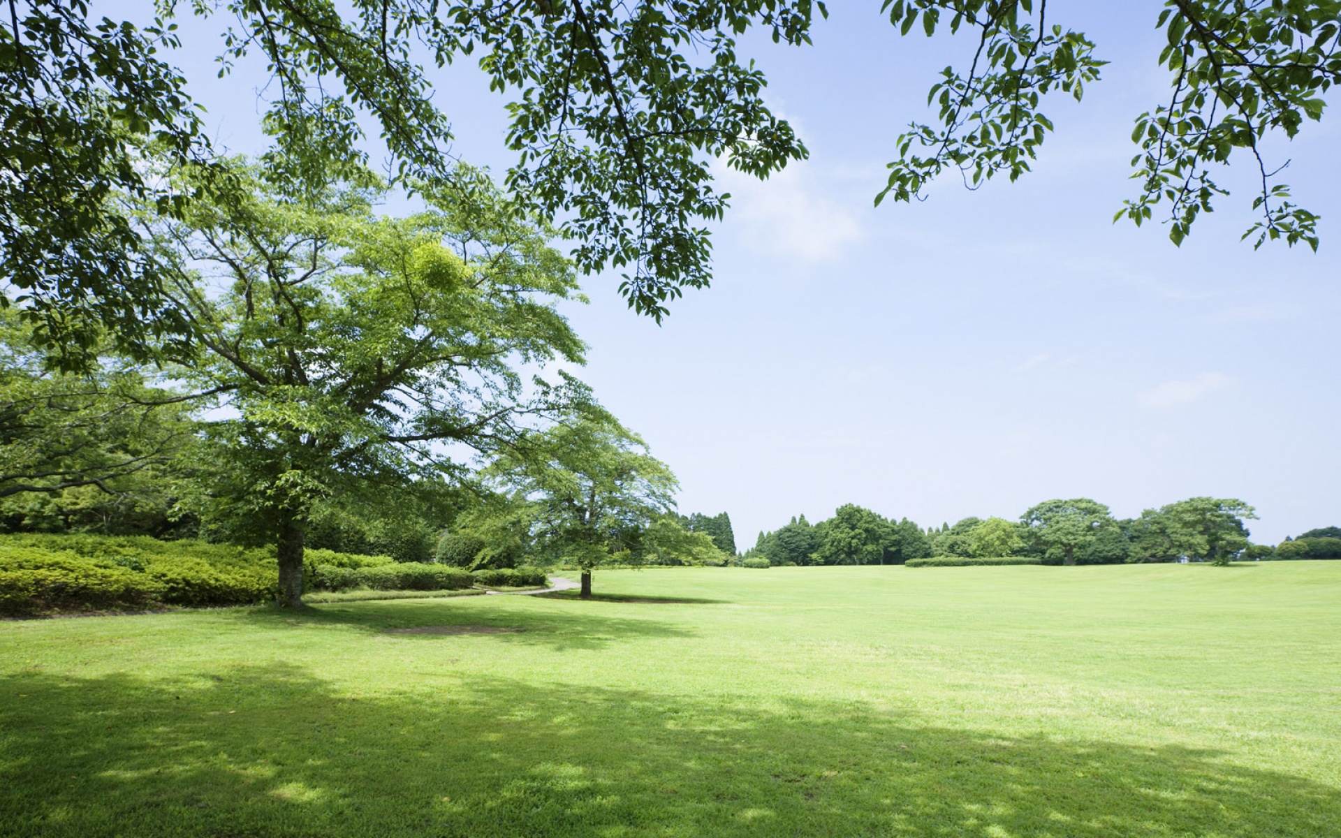 风景,碧绿草原,2012Y十一月11D,儿童桌面专用