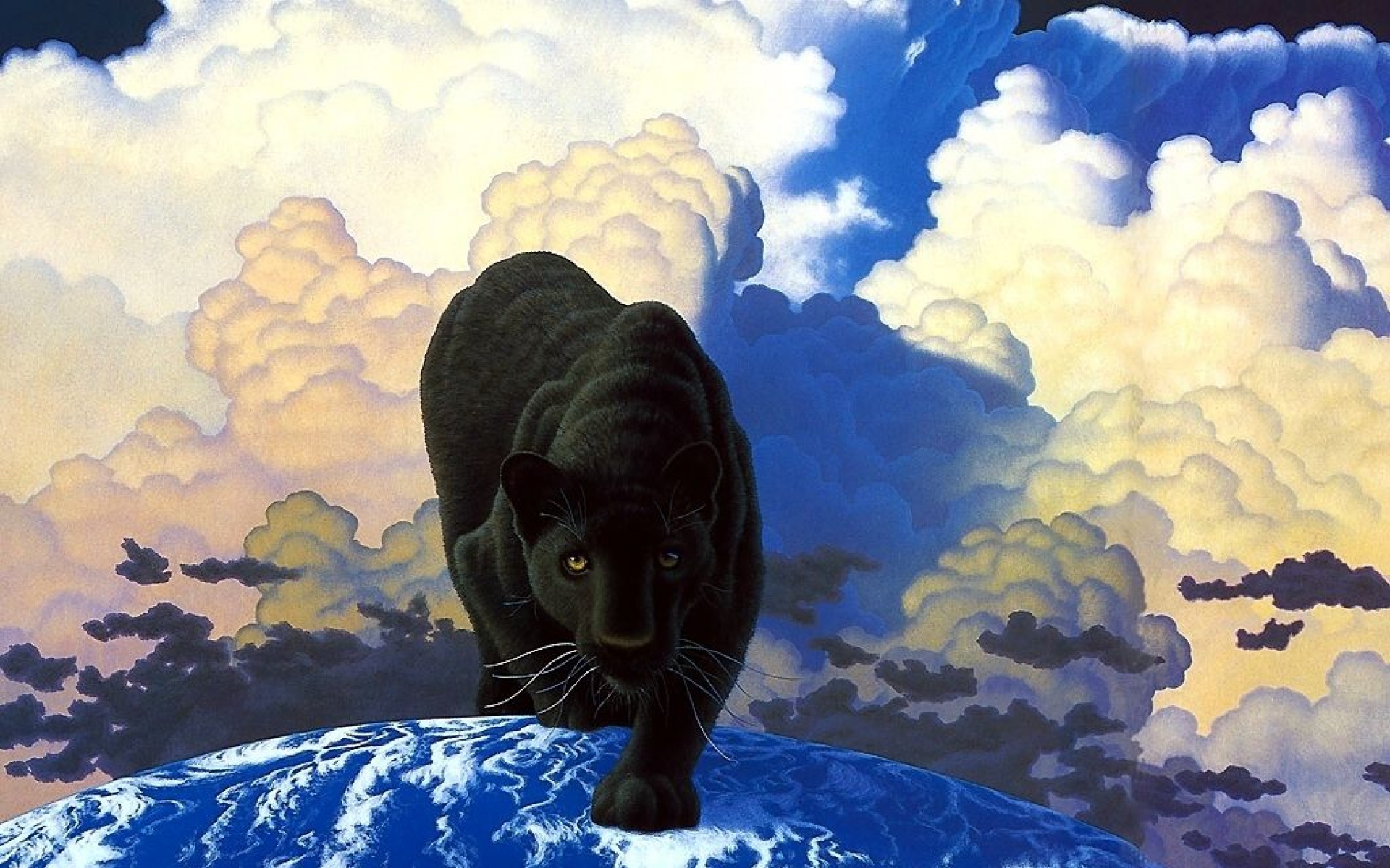 太空,动物,手绘,儿童桌面专用