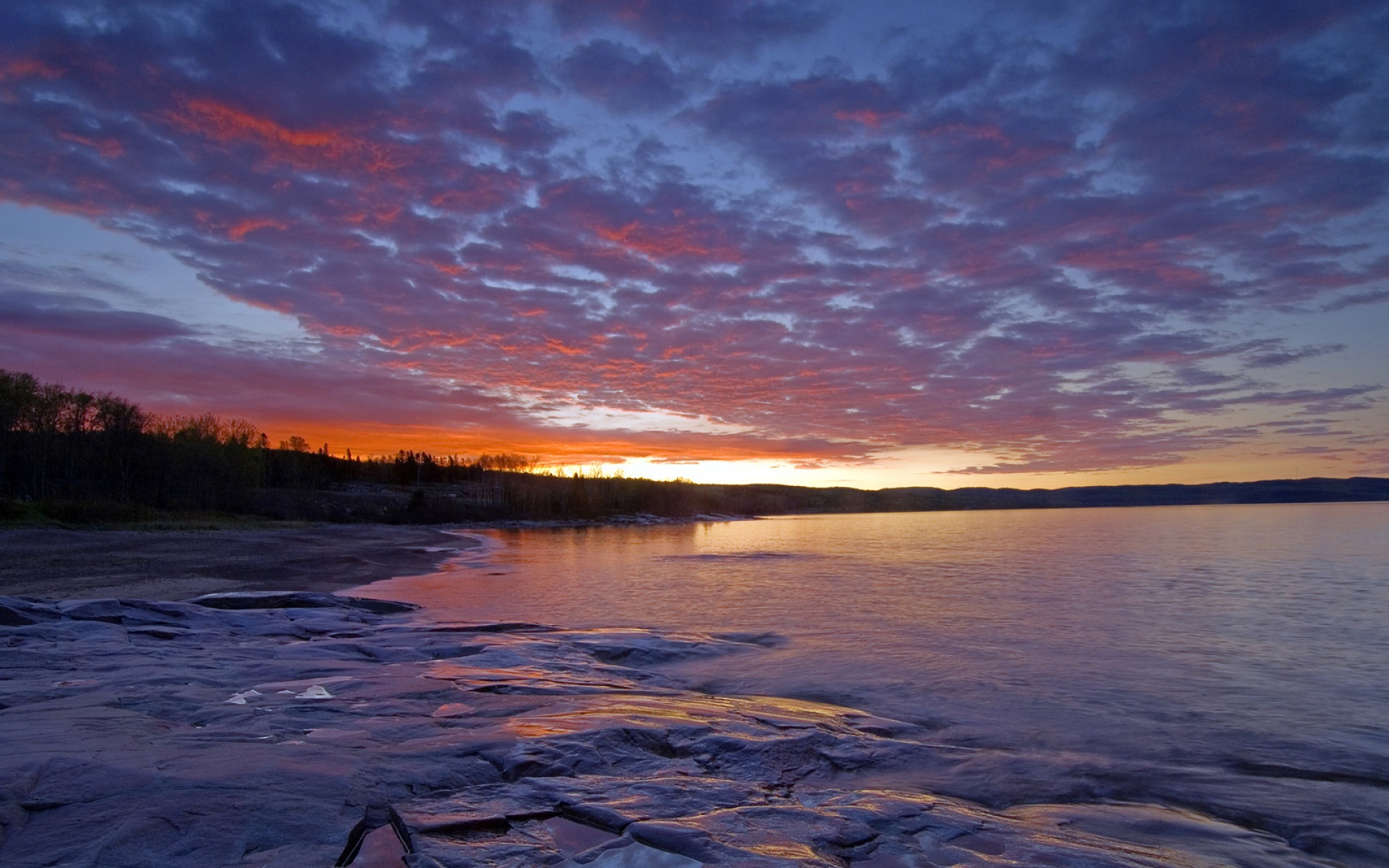 Webshots,2010年,十一月,精美,风光,动物,摄影,2012Y十月31D,儿童桌面专用