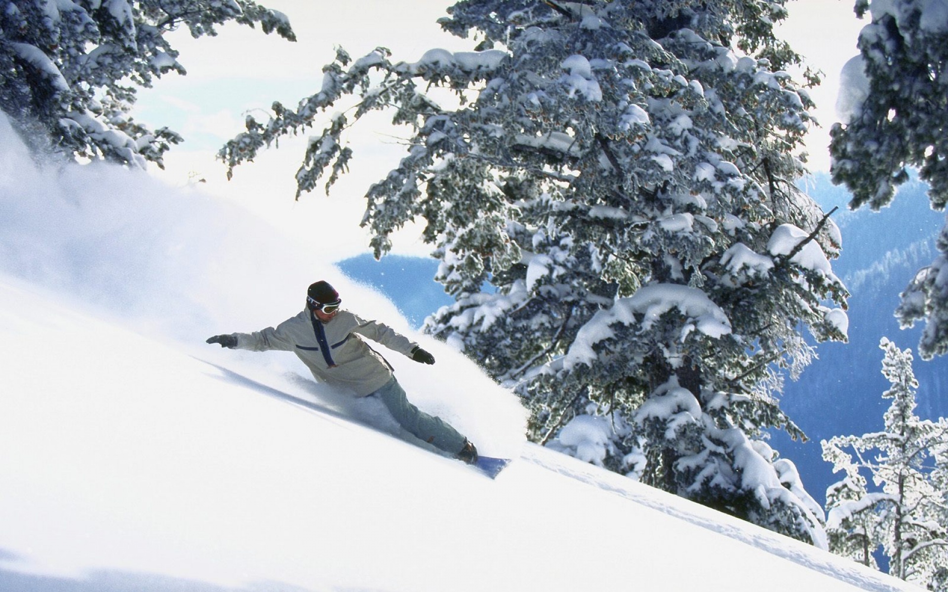 户外,运动,系列,2012Y十一月14D