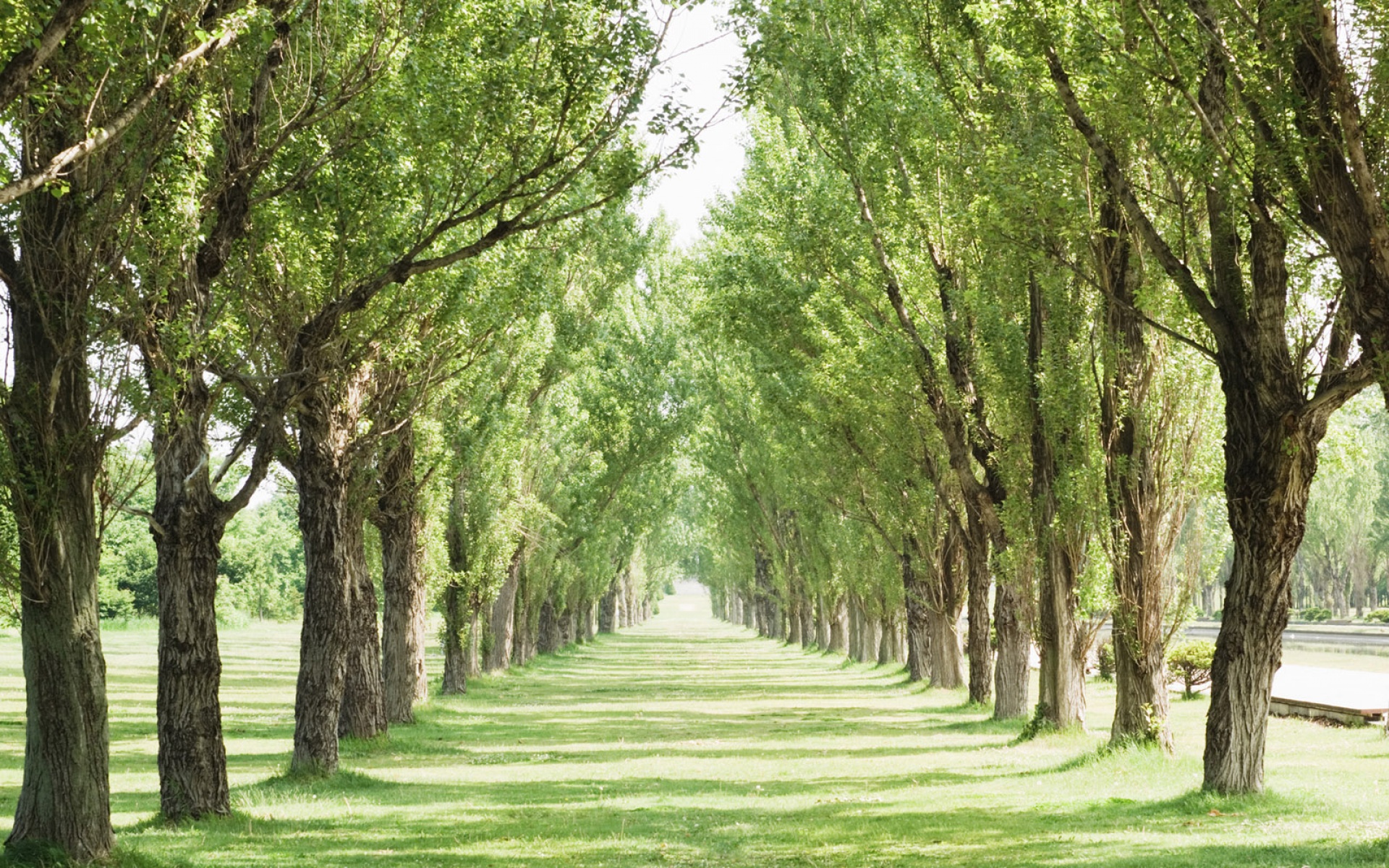 风景,自然风光,2012Y十一月10D,儿童桌面专用