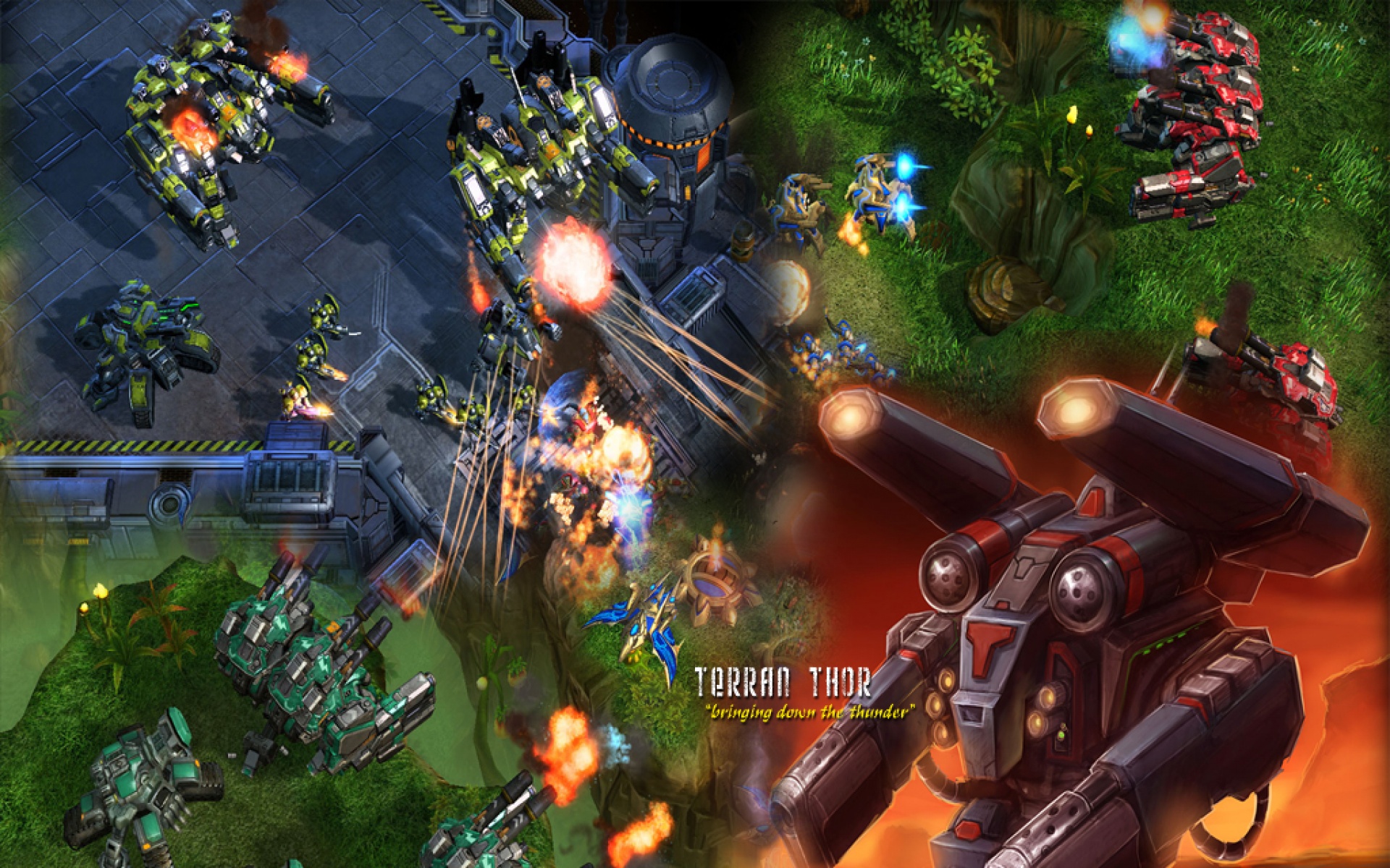 星际,争霸,游戏,2012Y十一月09D