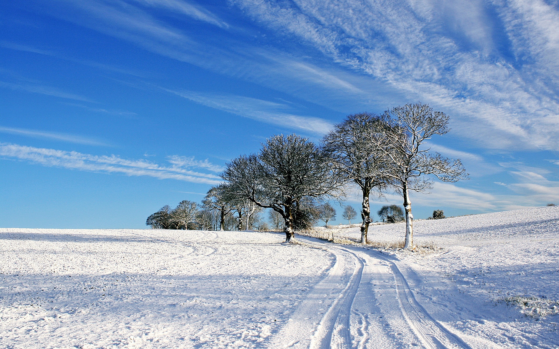 风景,冰天雪地,2012Y十月31D,儿童桌面专用