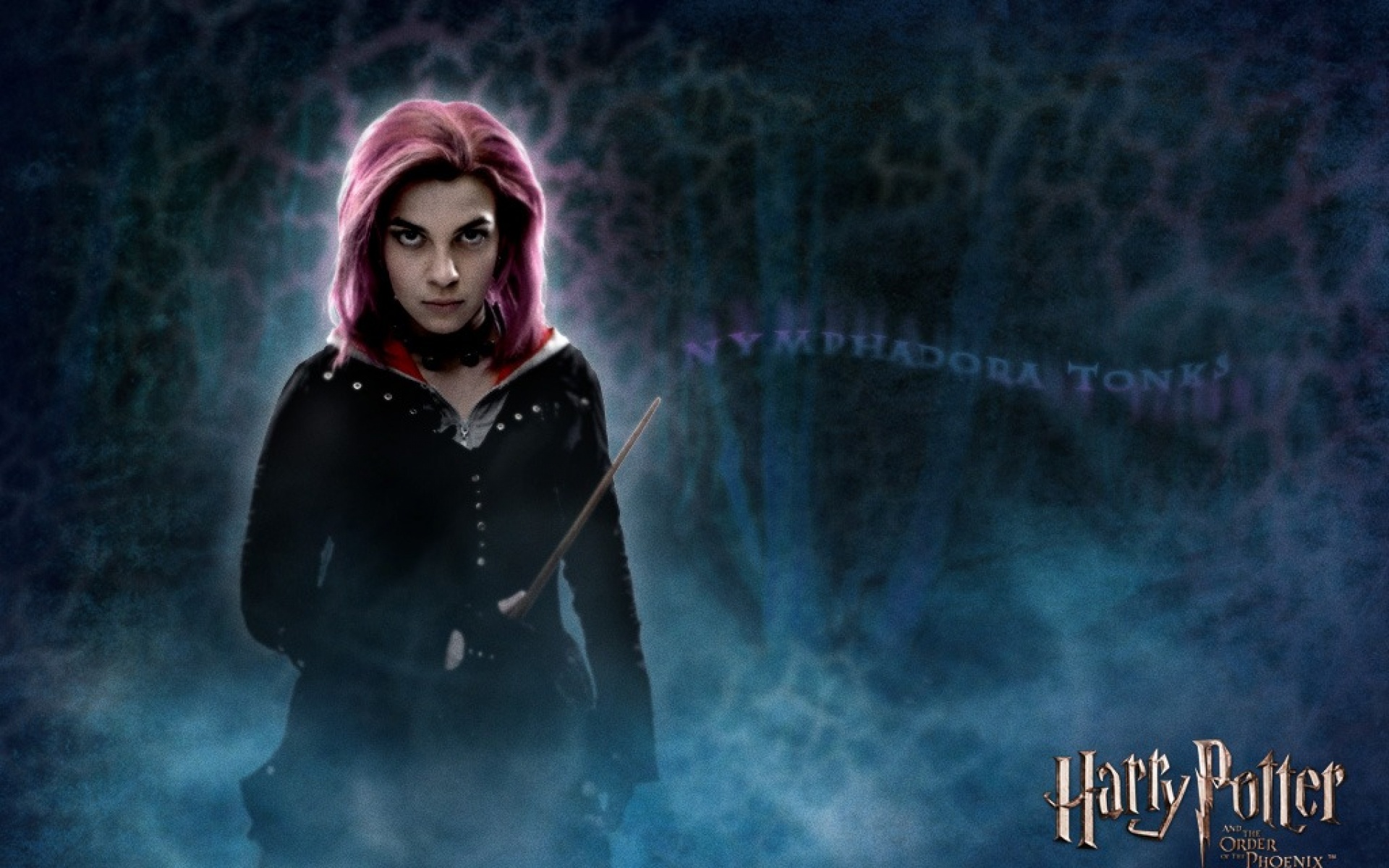 哈利,波特,凤凰社,影视,2012Y十一月14D