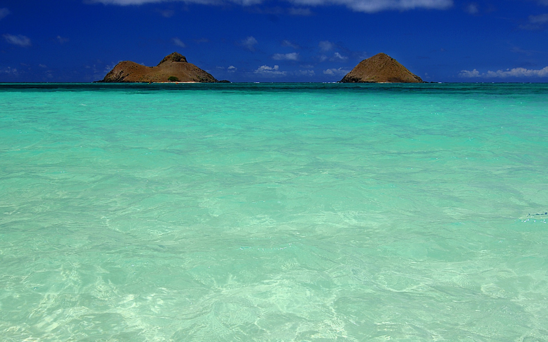 风景,海洋天堂,2012Y十月30D,儿童桌面专用