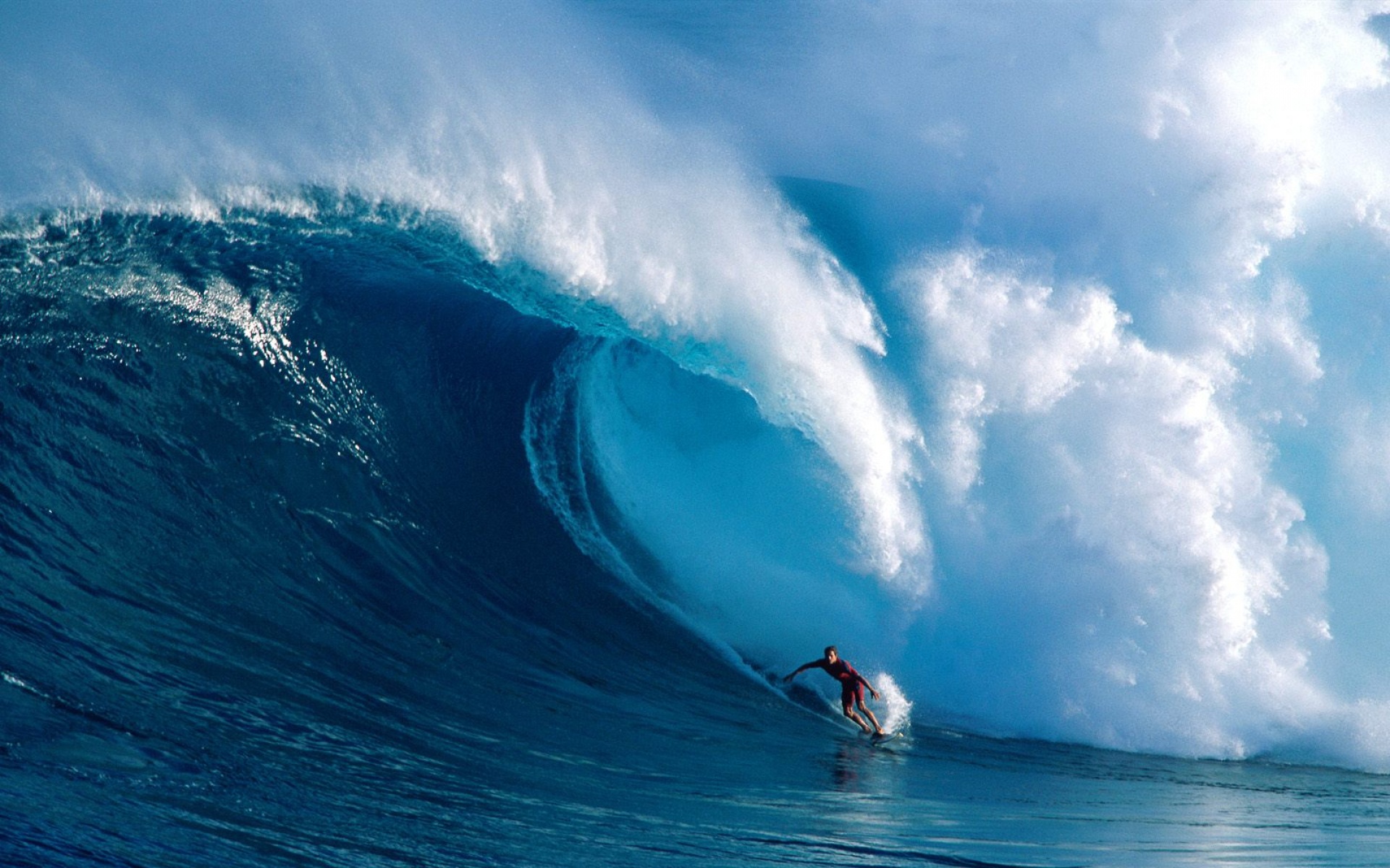 户外,运动,系列,2012Y十一月14D