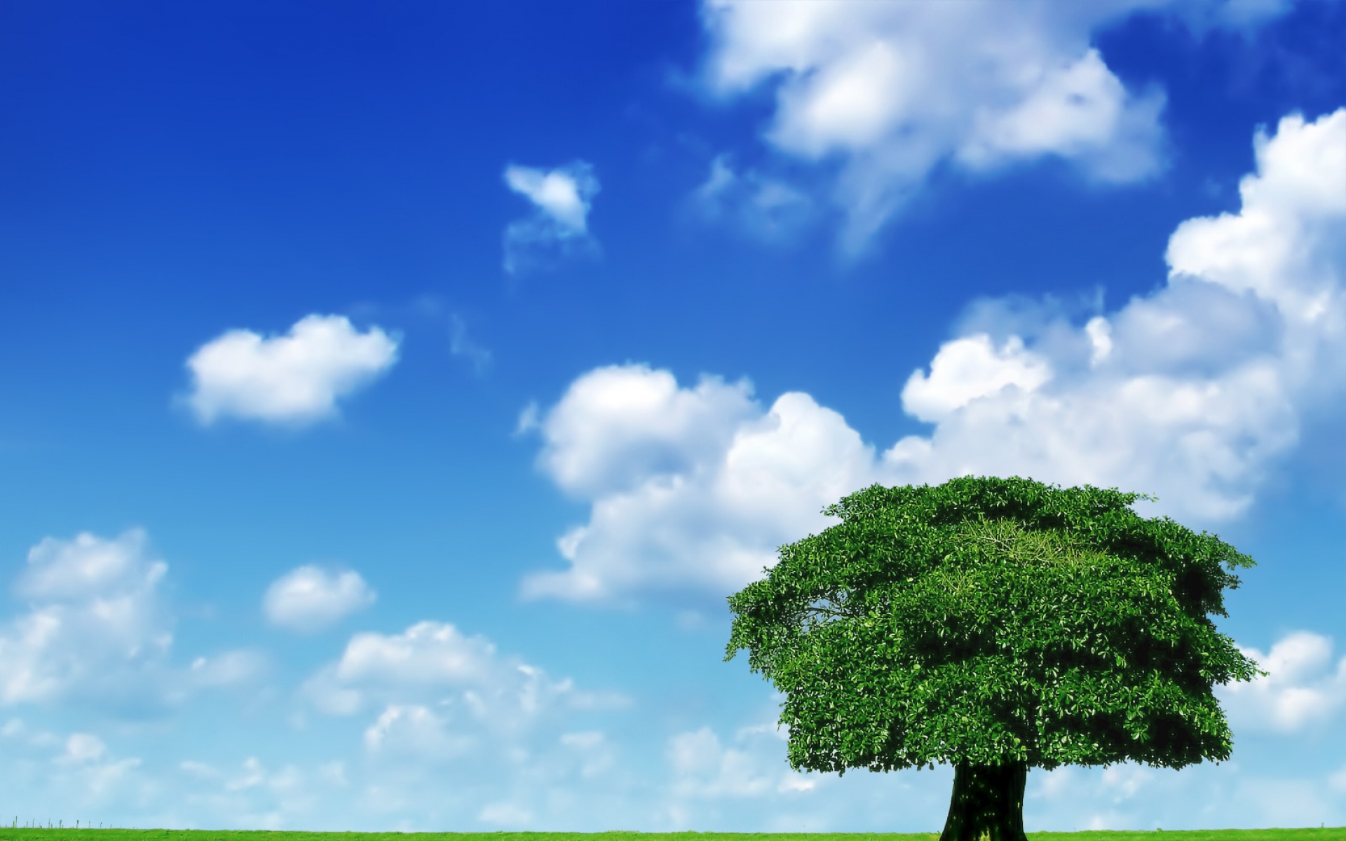 socksoff,设计,高清,经典,2012Y十一月03D,创意,儿童桌面专用