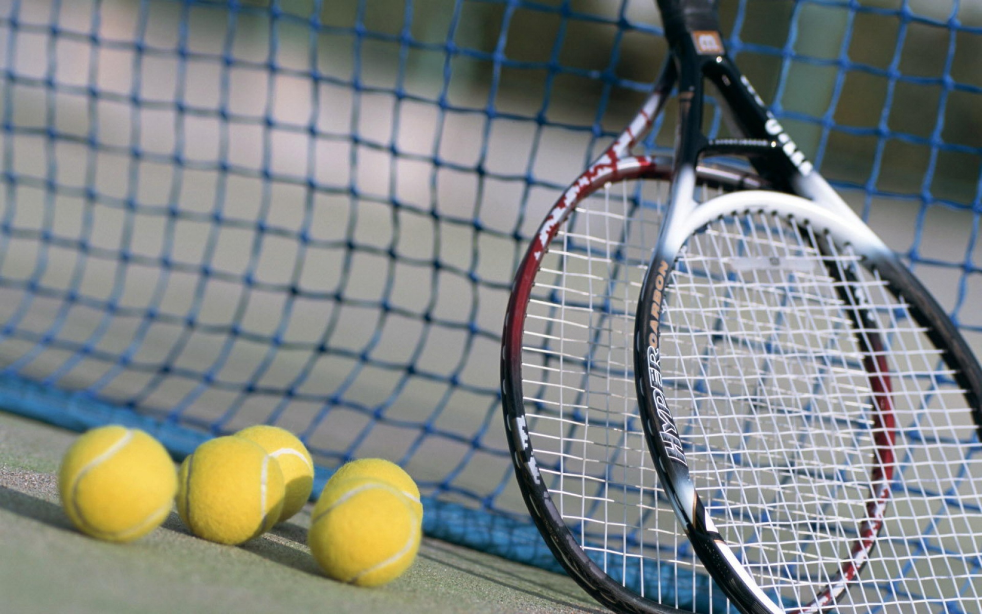 运动,2012Y十一月13D