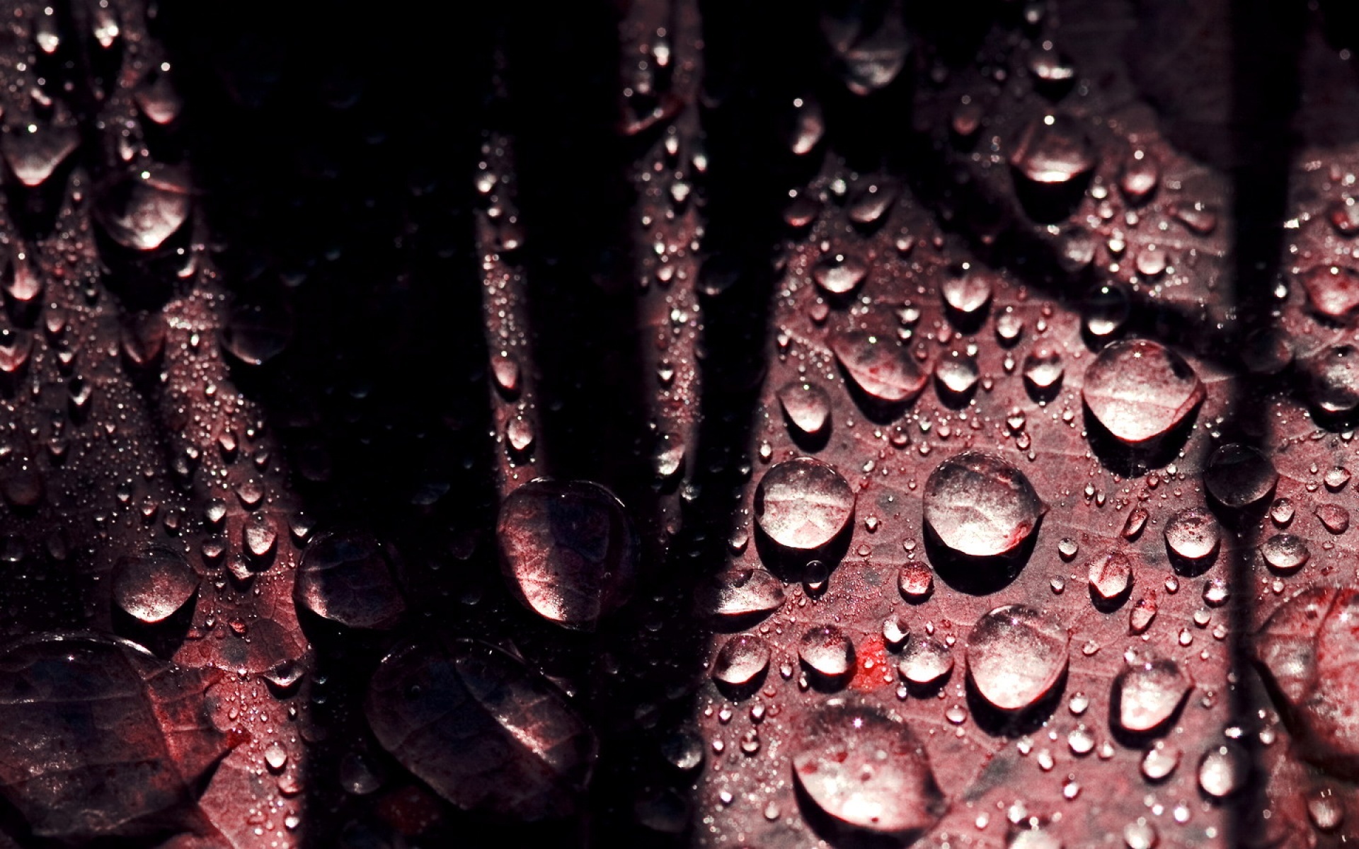 小清新,舒缓压力,水珠