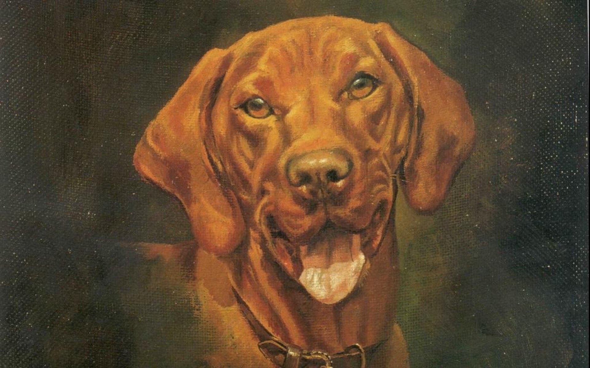 动物,绘画,风格,2012Y十一月04D,狗,儿童桌面专用