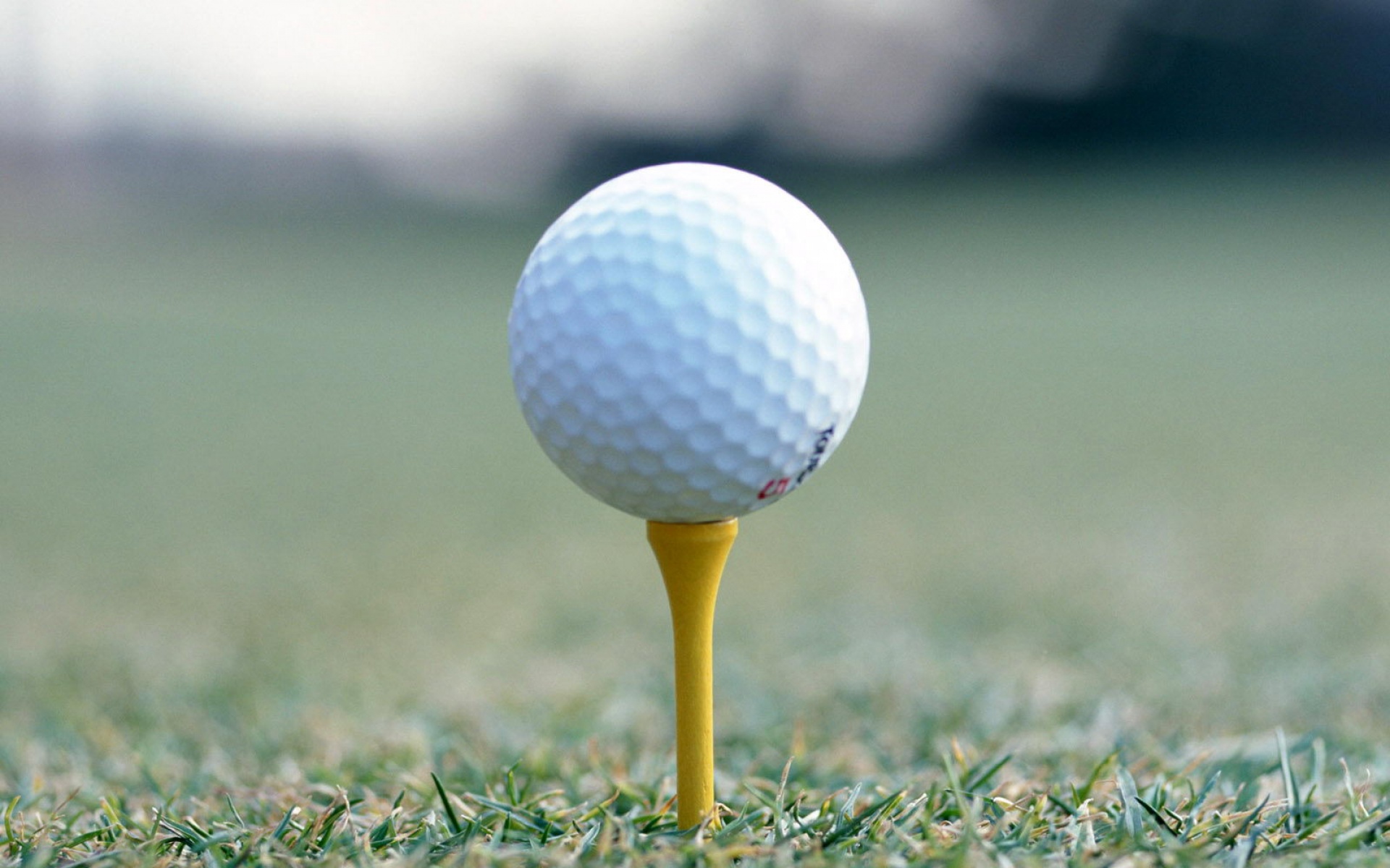 运动,2012Y十一月12D