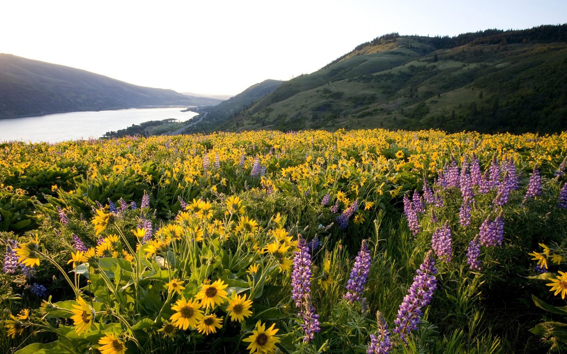 风景,自然风光,2012Y十一月11D,儿童桌面专用