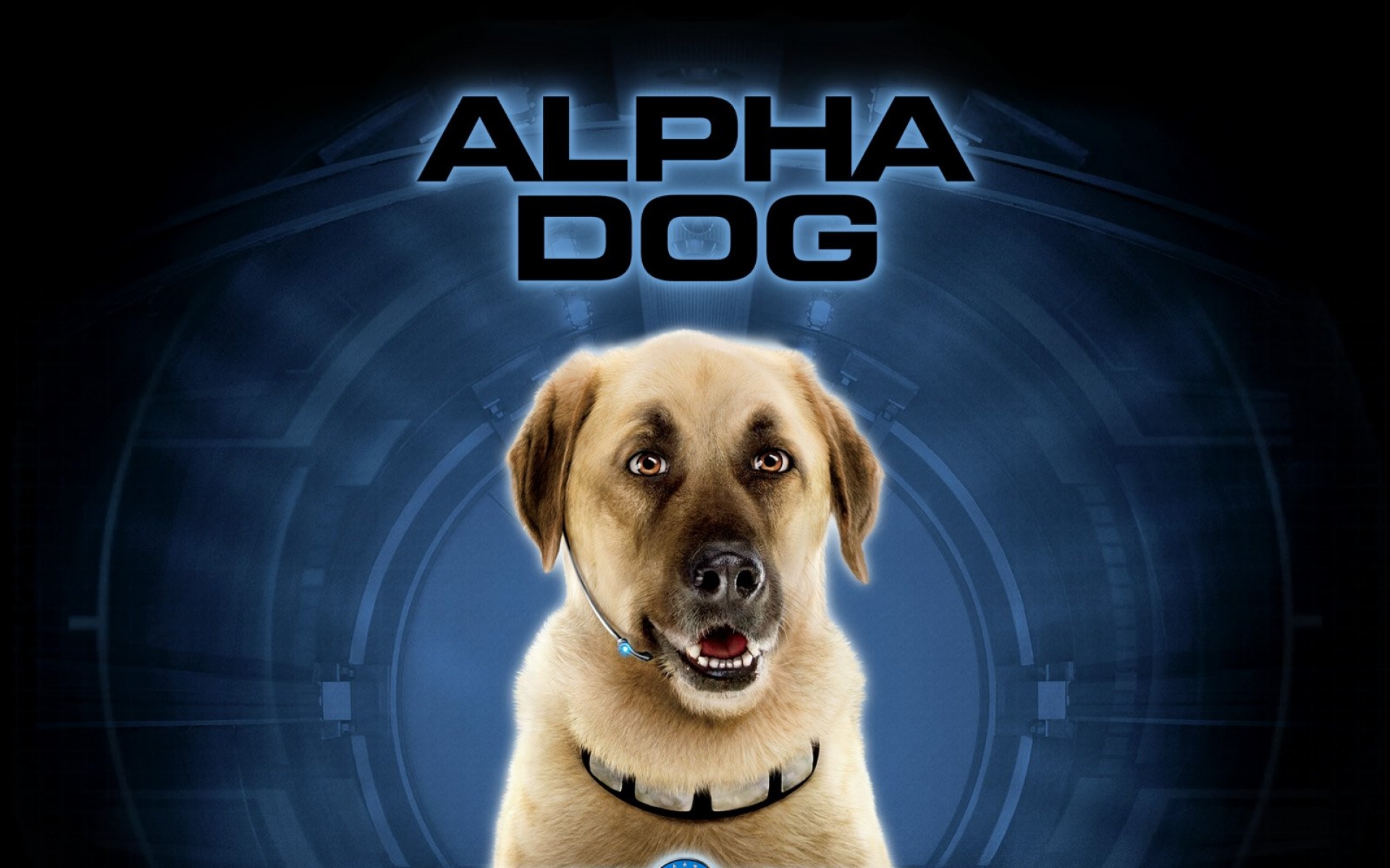 猫狗大战,影视,电影,2012Y十月30D,整蛊搞笑