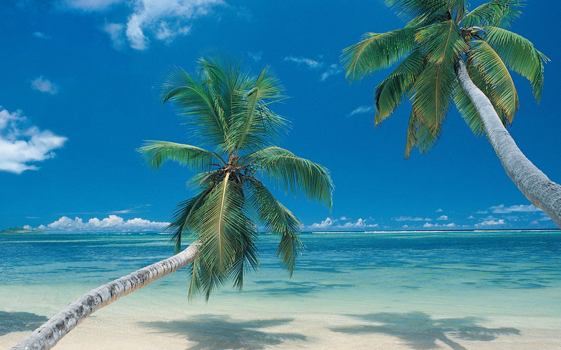 风景,海洋天堂,2012Y十月31D,儿童桌面专用