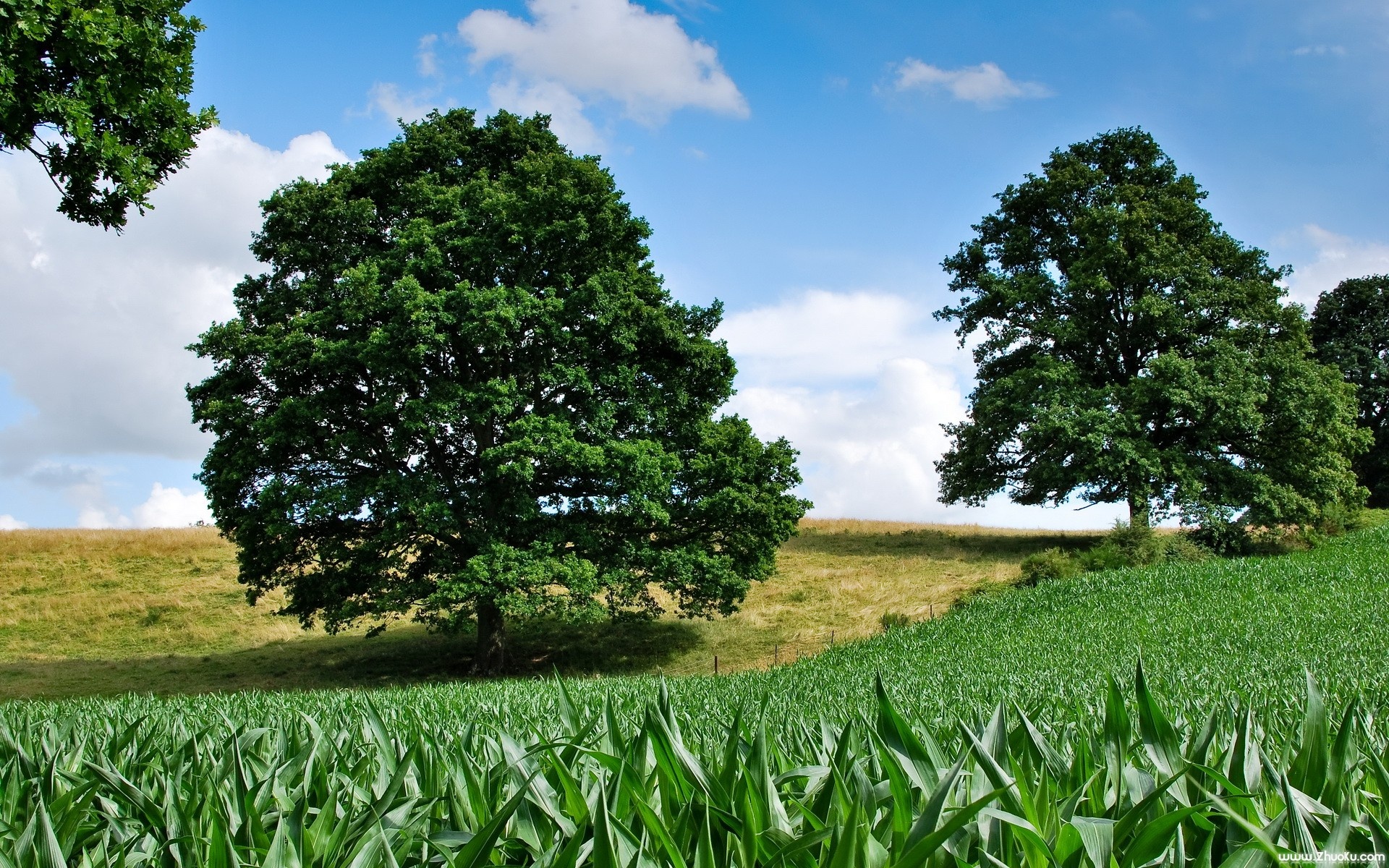 风景,自然风光,2012Y十一月05D,儿童桌面专用