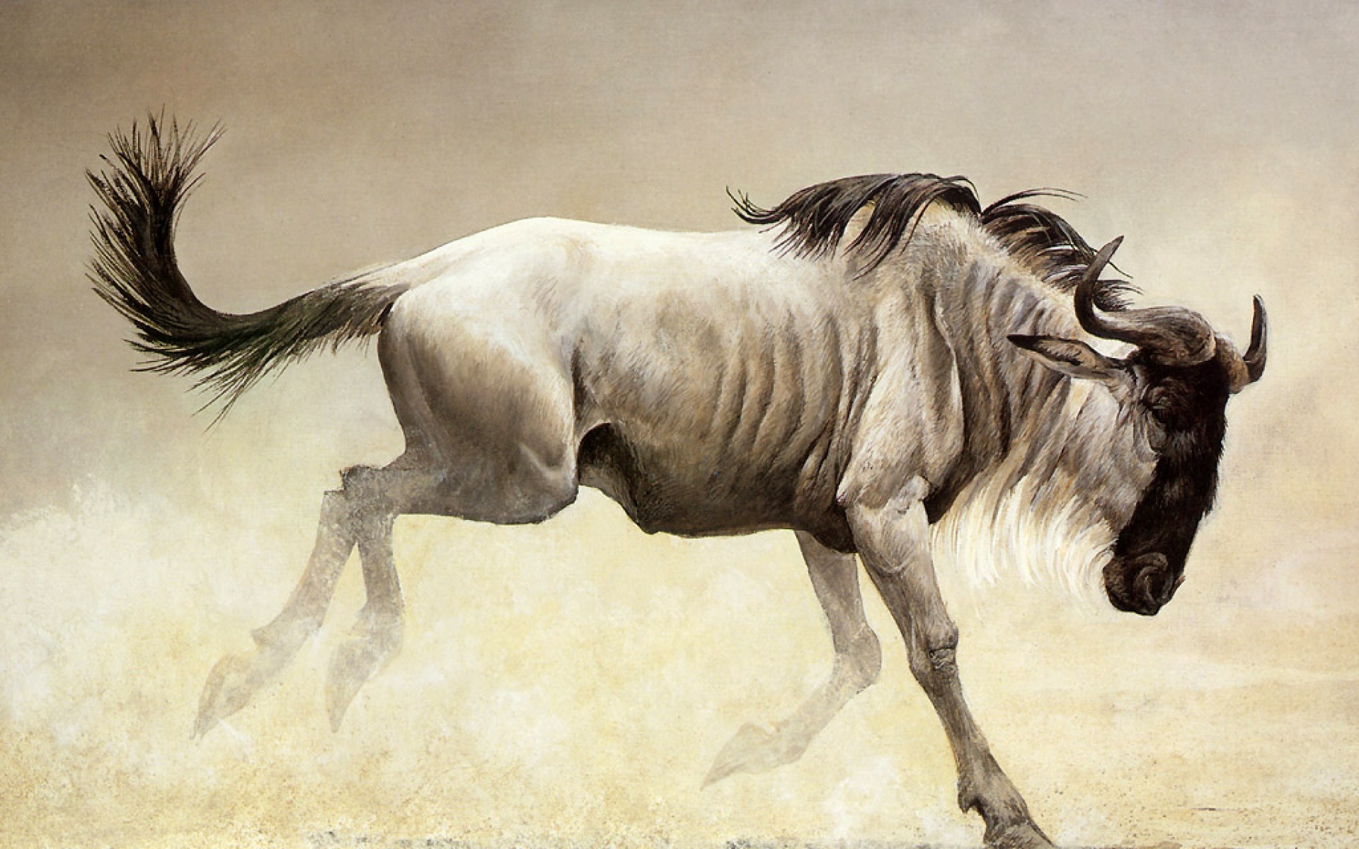 动物,绘画,风格,2012Y十一月04D,儿童桌面专用