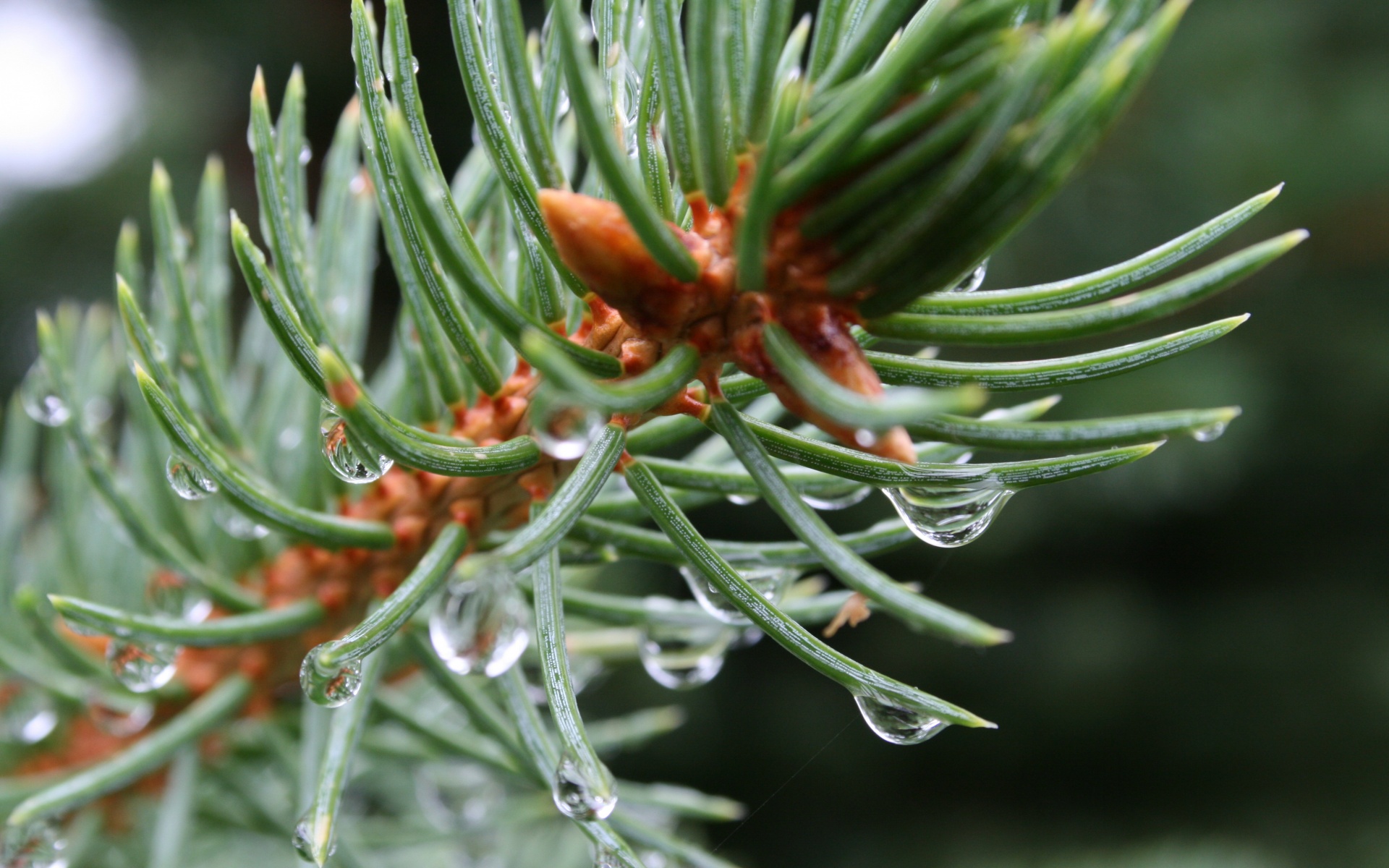 小清新,舒缓压力