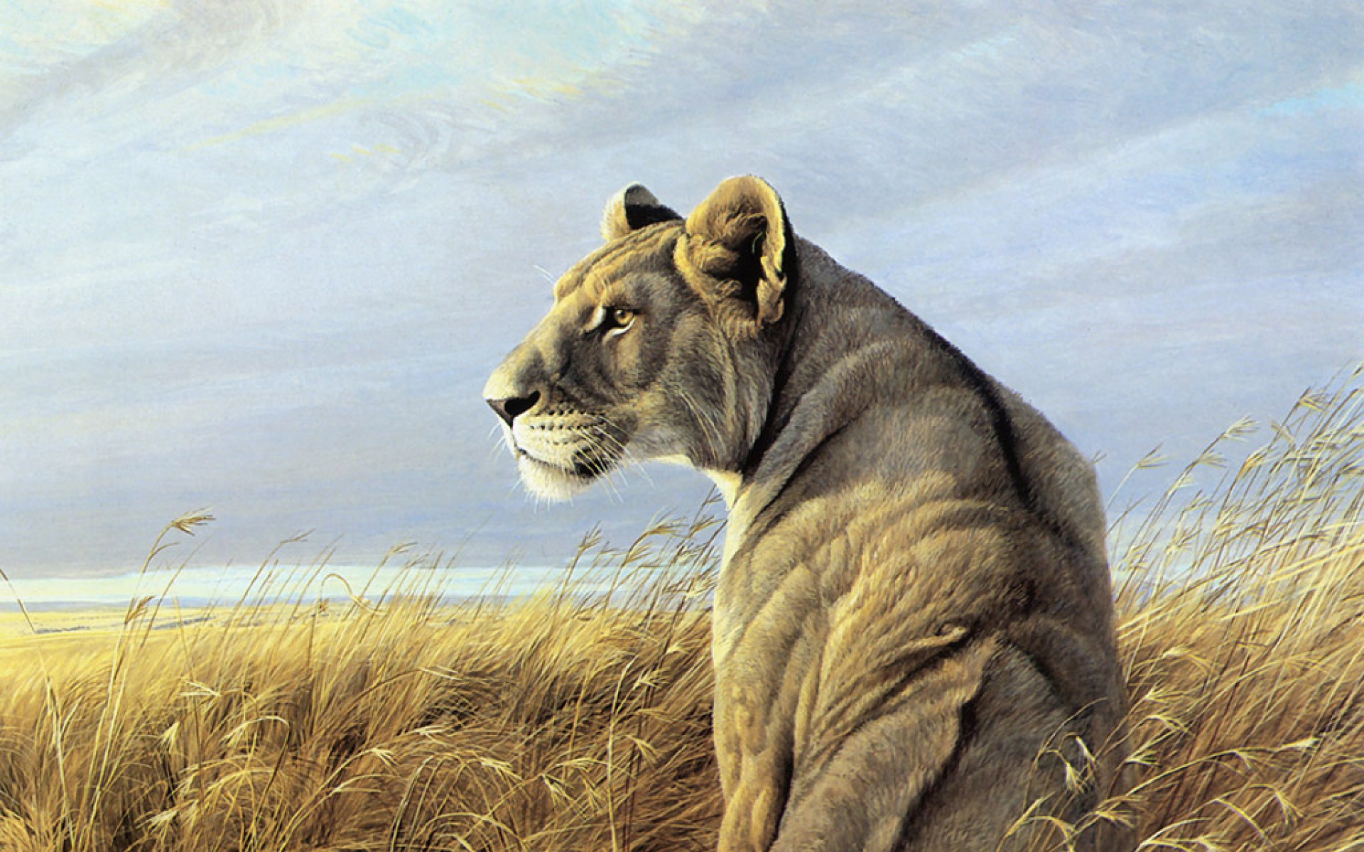 动物,绘画,风格,2012Y十一月04D,儿童桌面专用