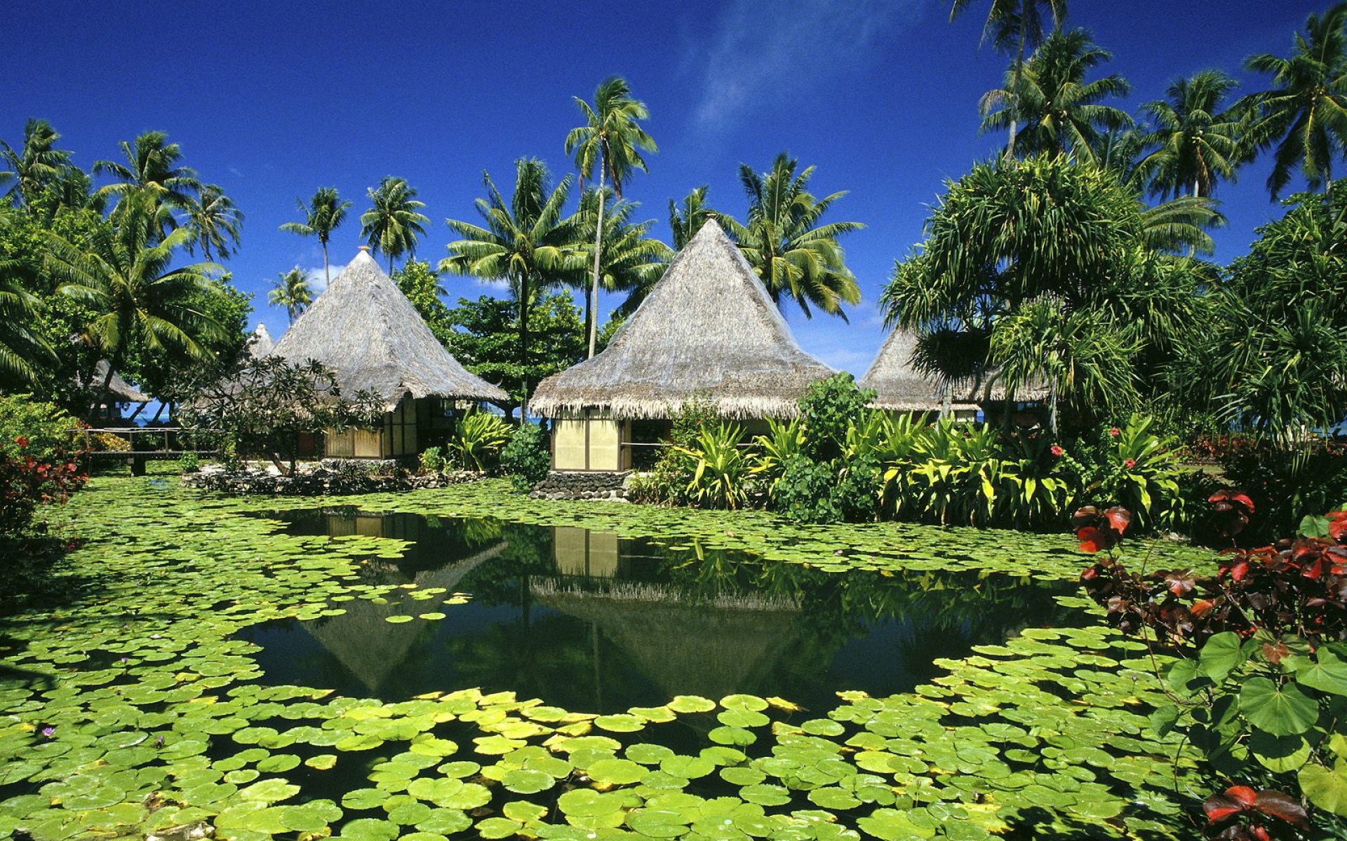 风景,自然风光,2012Y十一月11D,儿童桌面专用