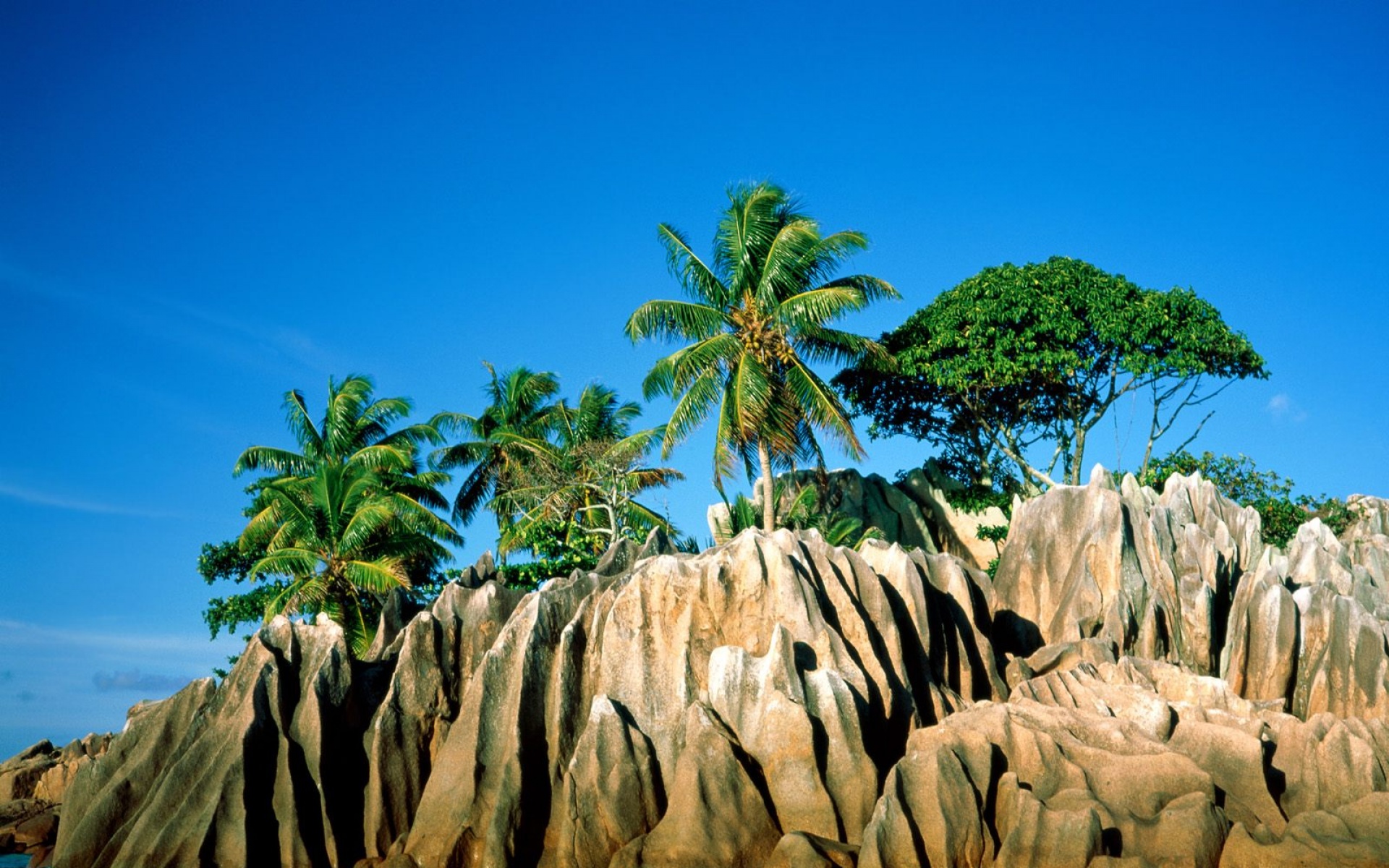 风景,海洋天堂,2012Y十一月05D,儿童桌面专用
