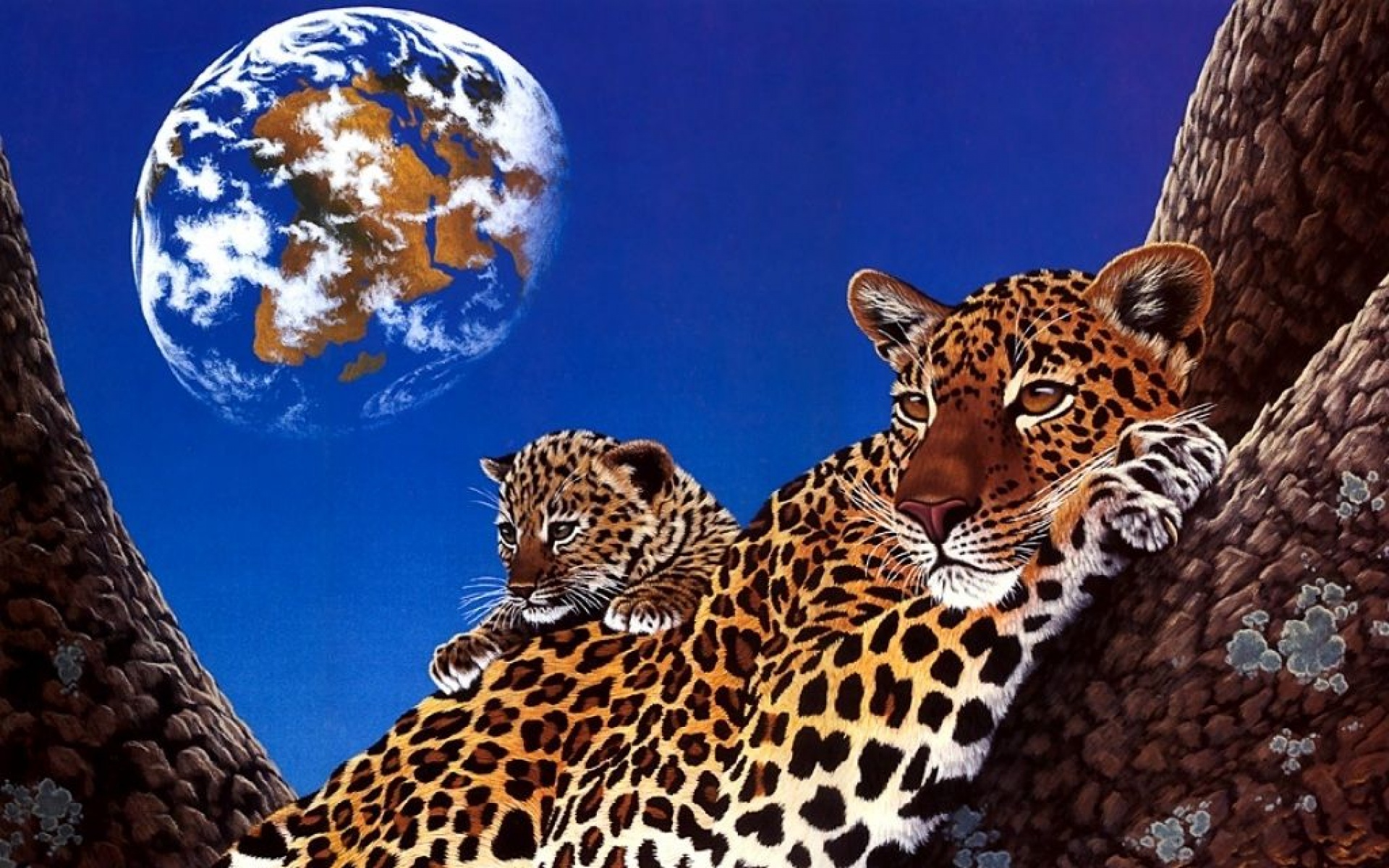 太空,动物,手绘,儿童桌面专用