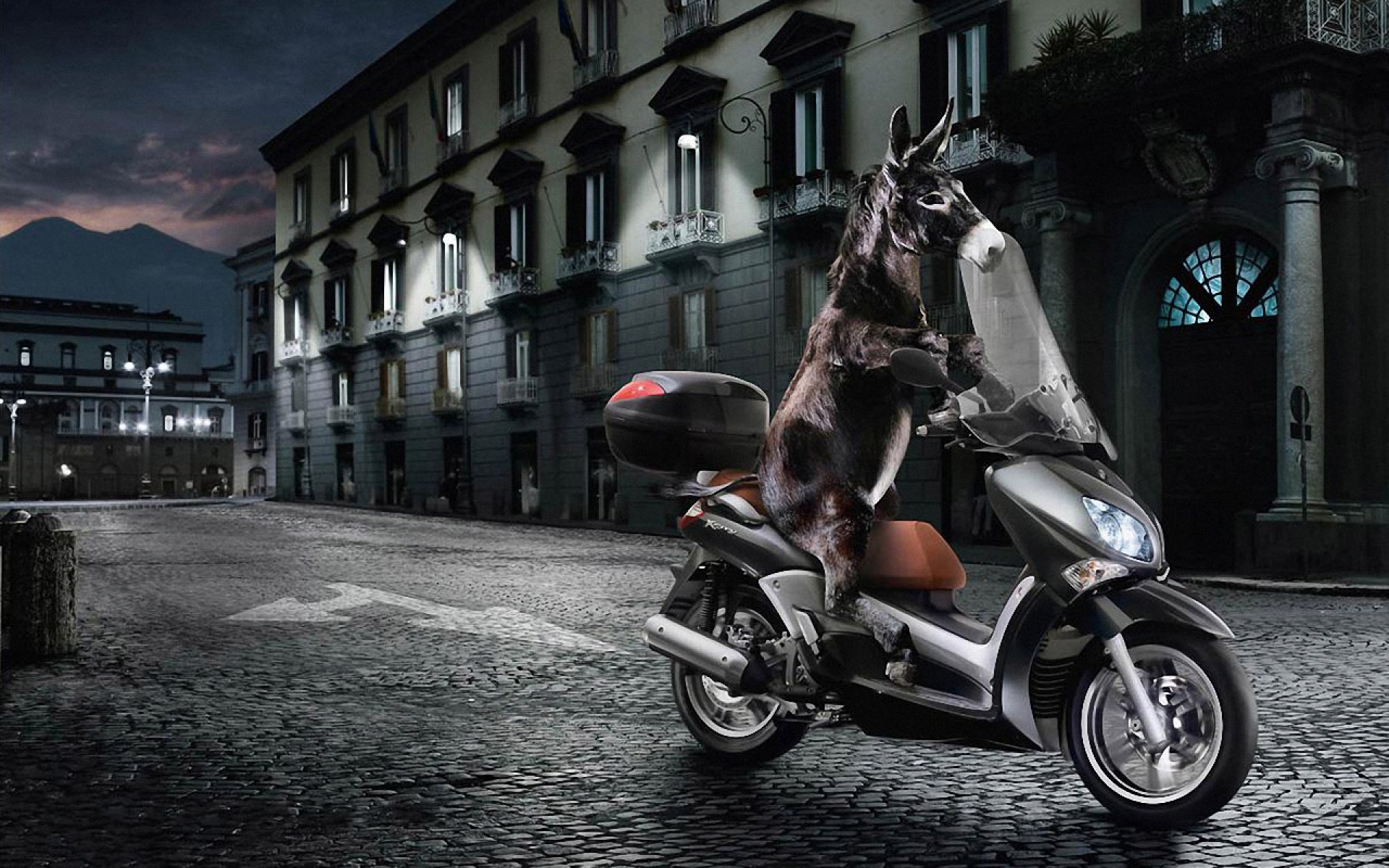 Premium,创意,宽屏,2012Y十一月03D