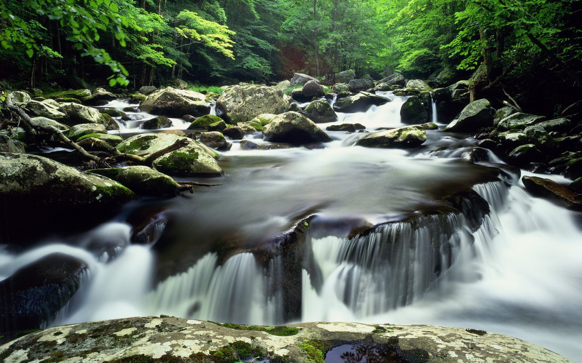 风景,自然风光,2012Y十一月11D,儿童桌面专用