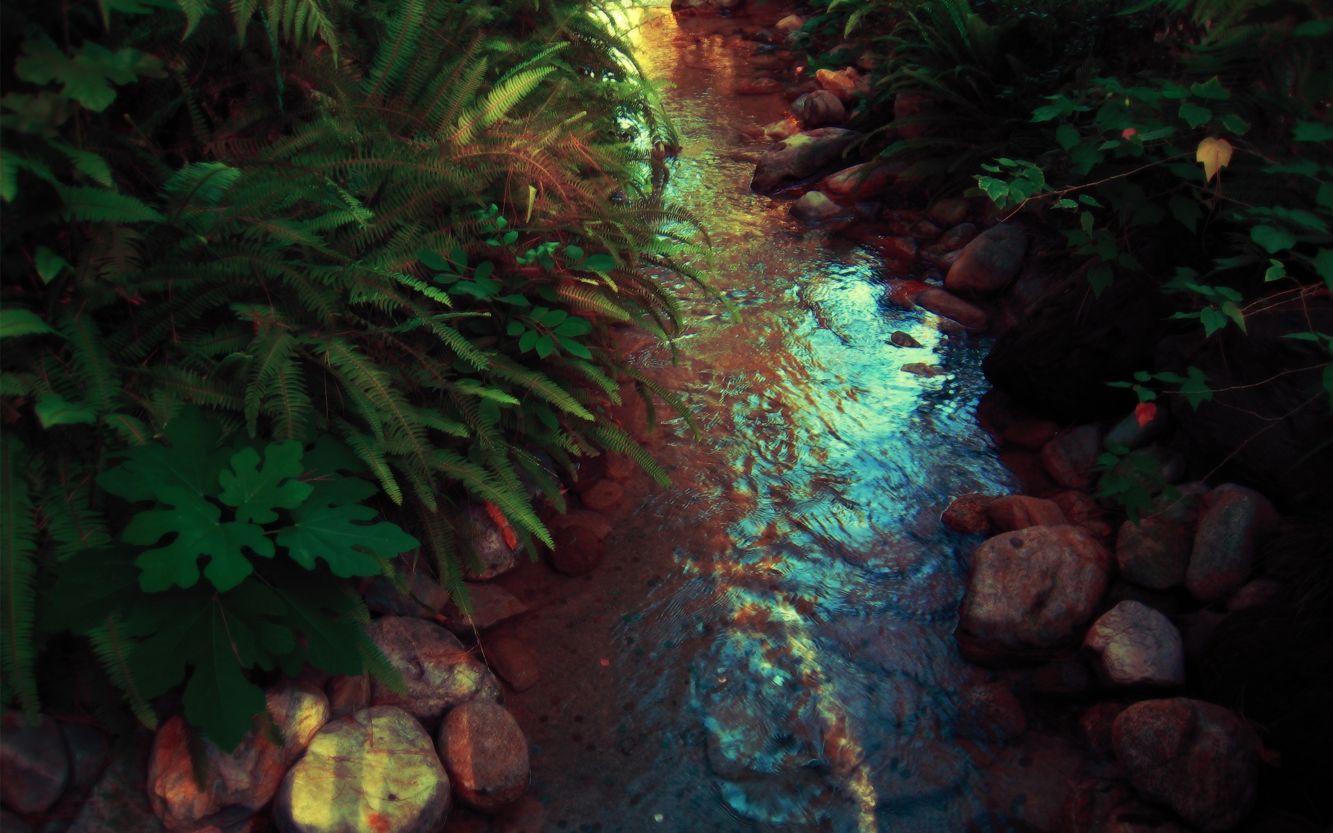 精品,经典,实物,摄影,电脑,PS,宽屏,2012Y十月31D,儿童桌面专用