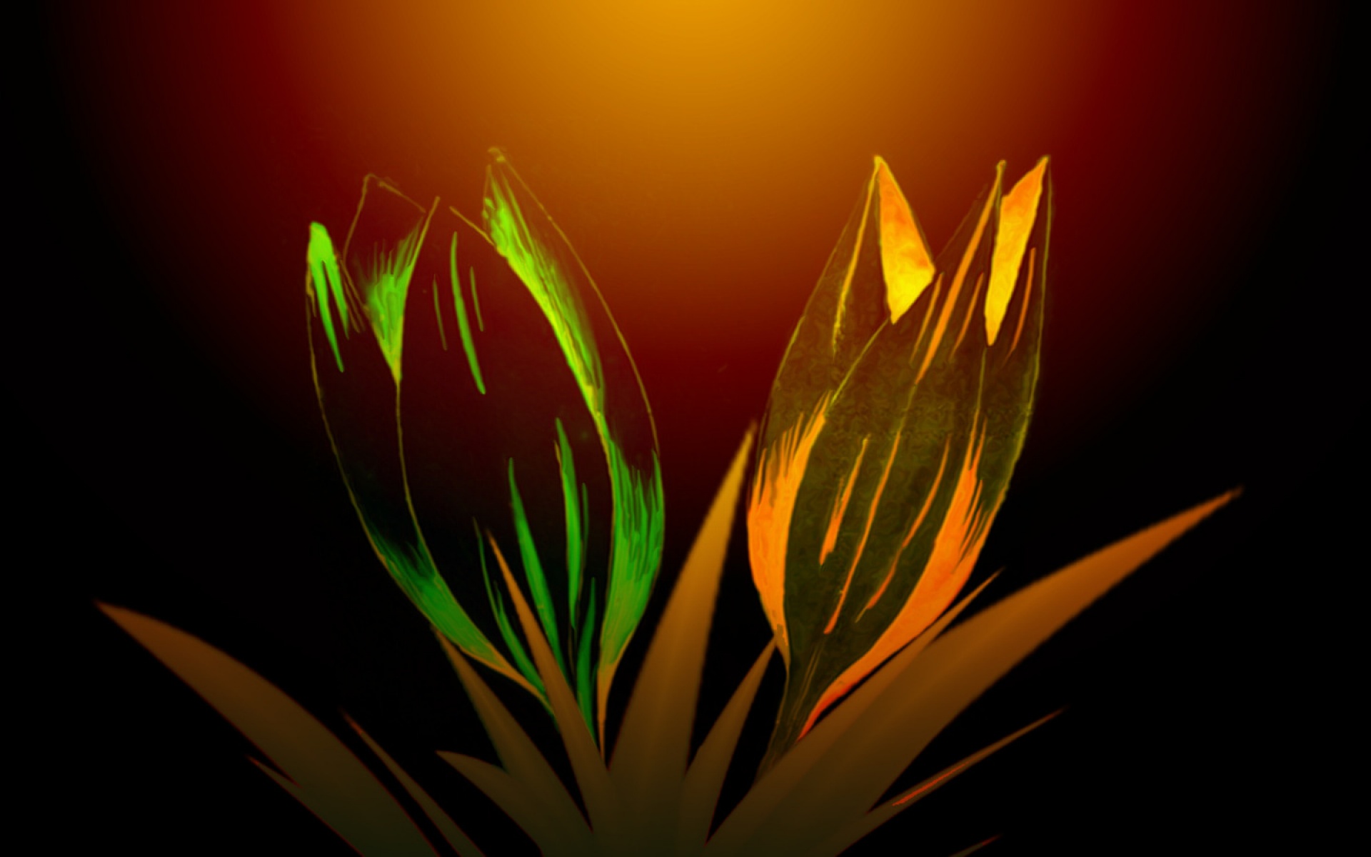 霓虹灯,眩光,线条,描绘,设计,个性,2012Y十一月04D,创意,儿童桌面专用