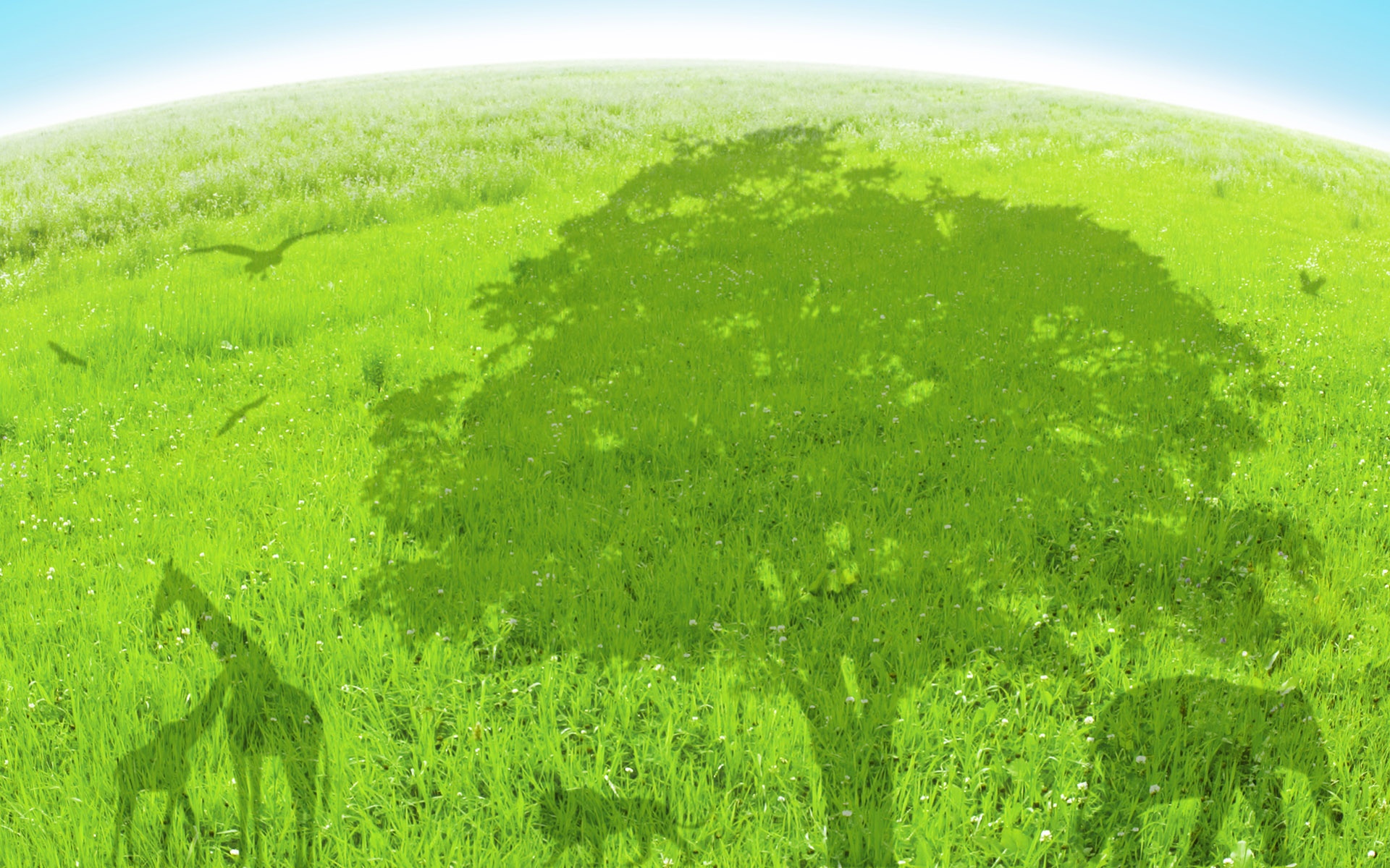 小清新,护眼壁纸,绿色,儿童桌面专用