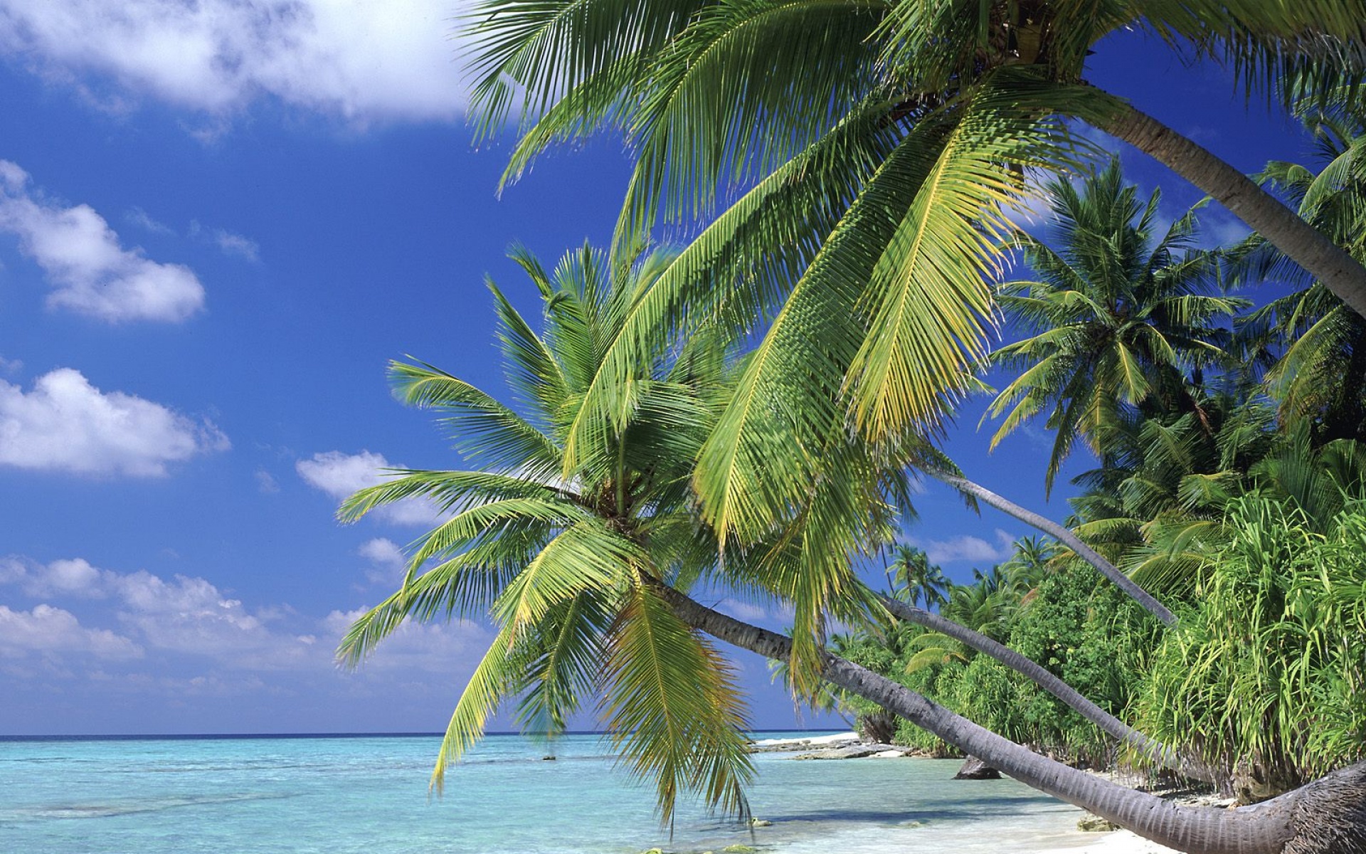 风景,海洋天堂,2012Y十一月04D,儿童桌面专用