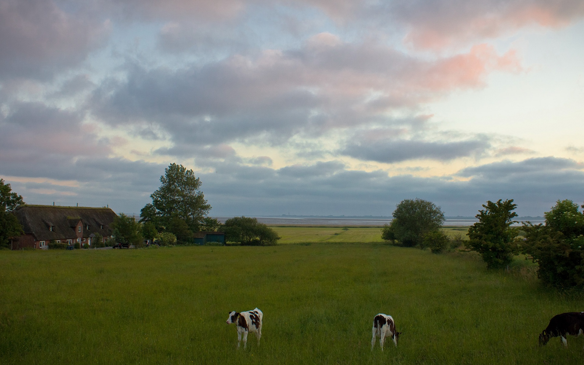 风景,碧绿草原,2012Y十月31D,儿童桌面专用