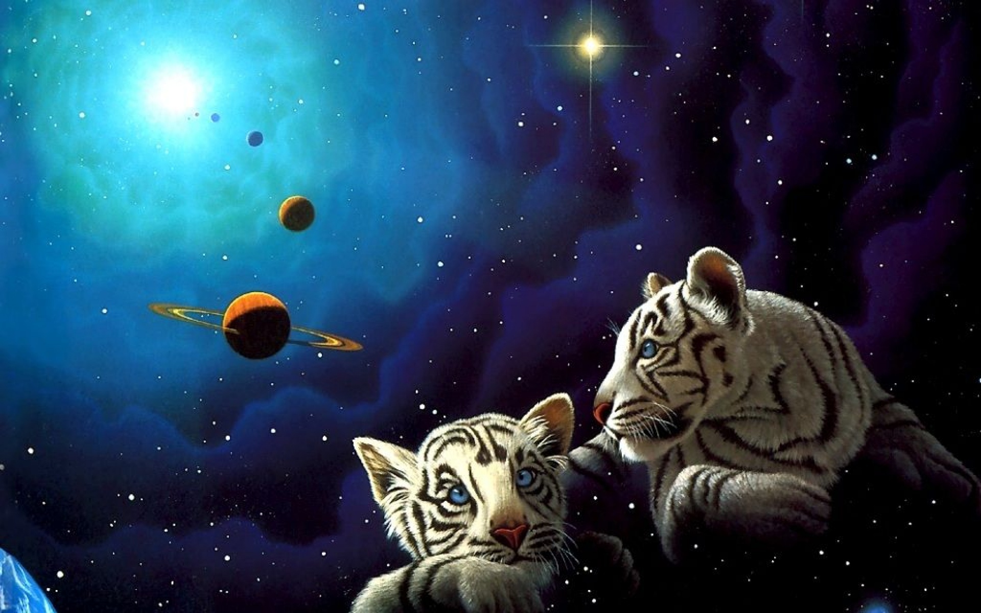 太空,动物,手绘,儿童桌面专用