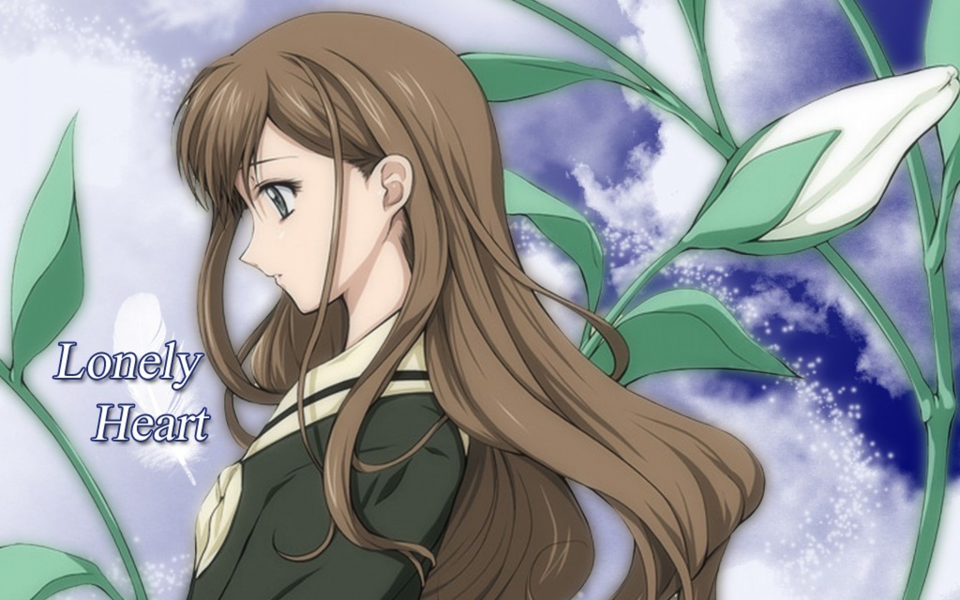 圣母在上,游戏,2012Y十一月21D