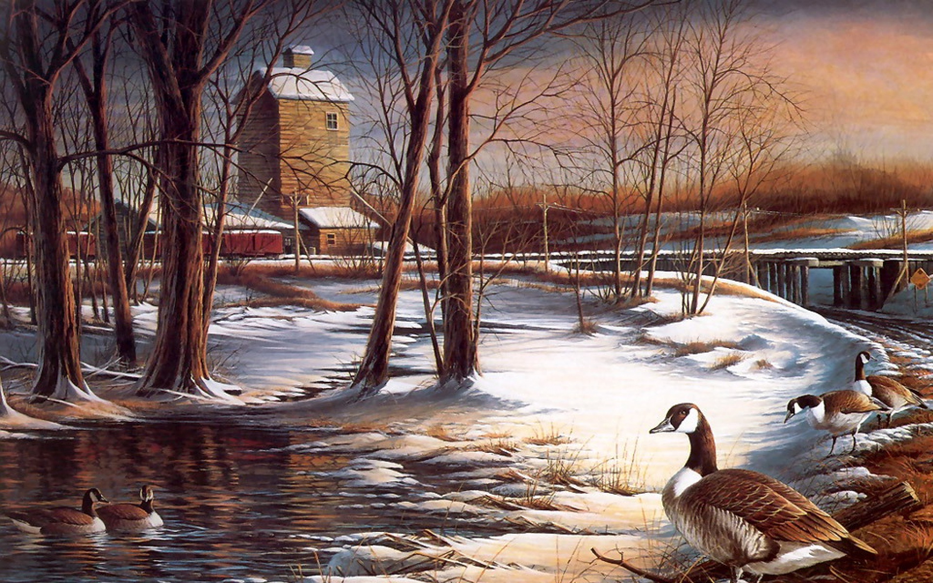 动物,绘画,风格,2012Y十一月04D,儿童桌面专用