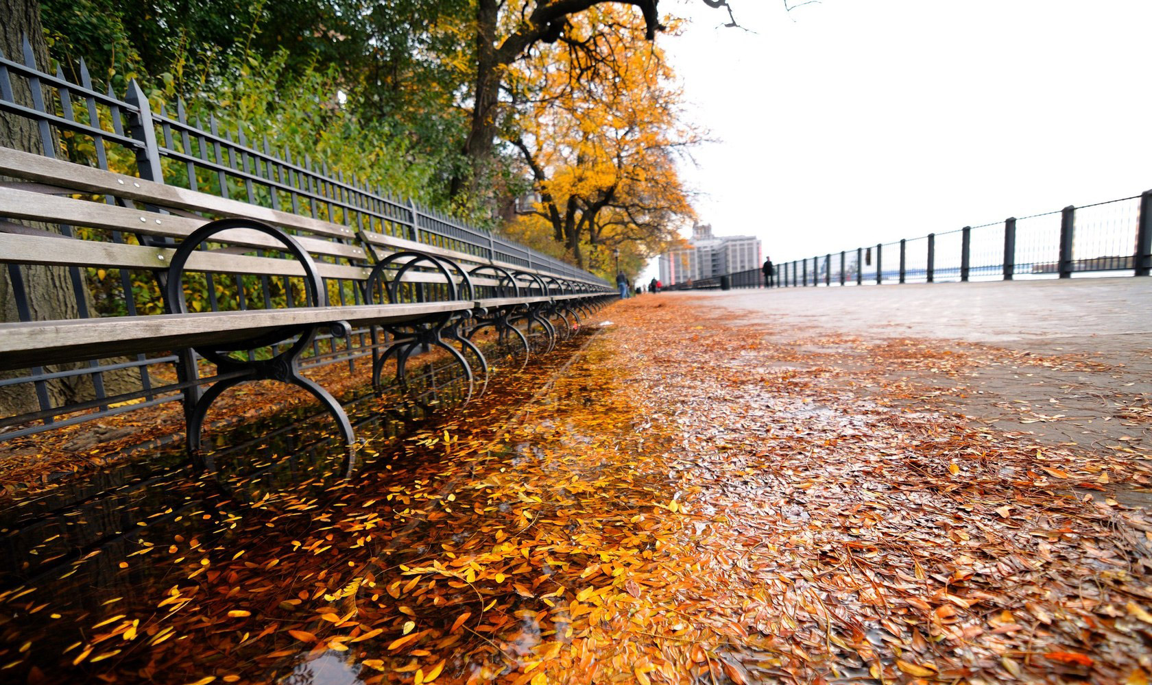 风景,秋意正浓,mlgb,儿童桌面专用