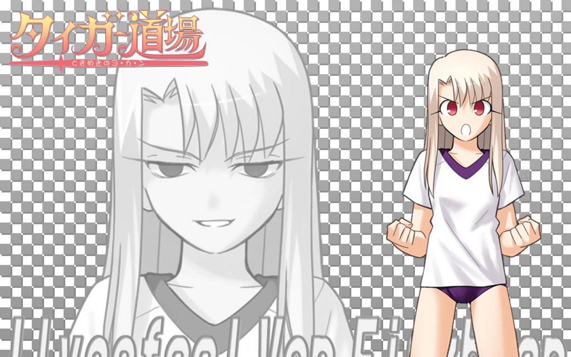 命运守护夜,游戏,2012Y十一月21D