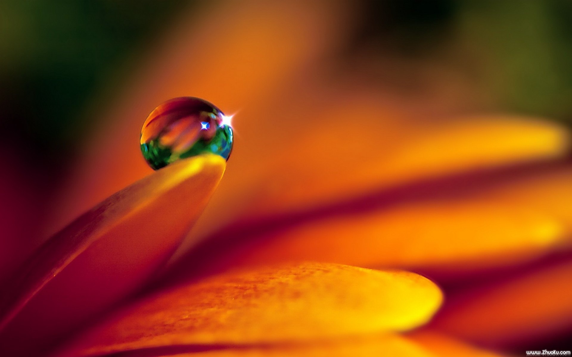 小清新,清新淡雅,水珠,儿童桌面专用