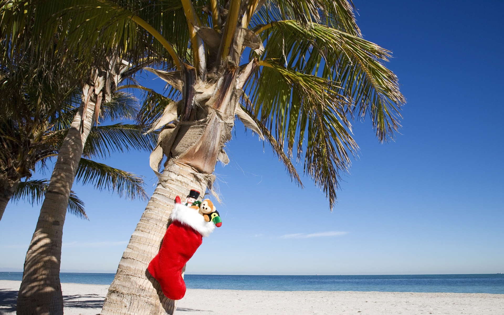 风景,海洋天堂,2012Y十月30D,儿童桌面专用