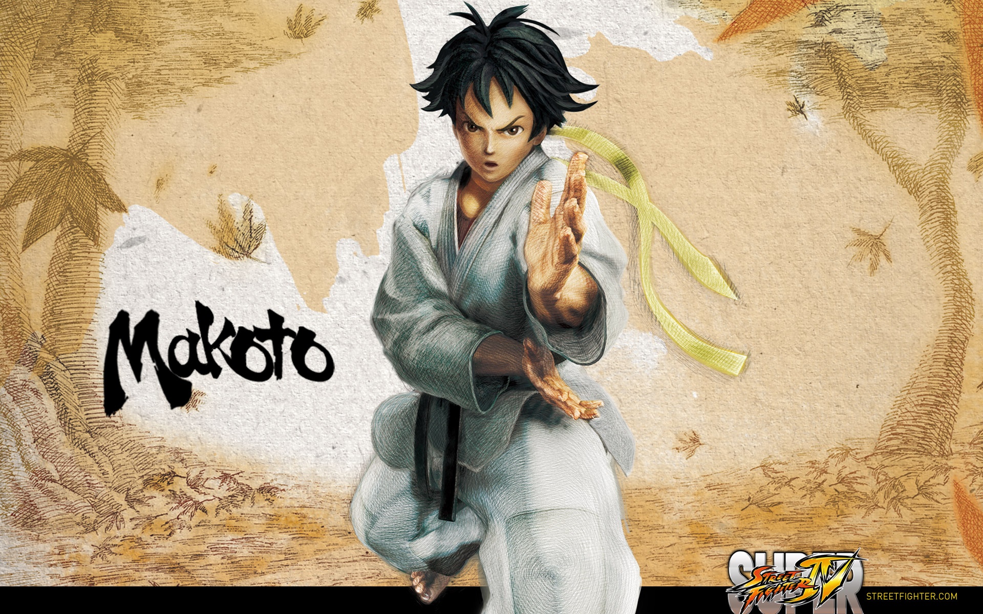 超级街霸,街霸,游戏,宽屏,水墨,中国风,2012Y十一月03D