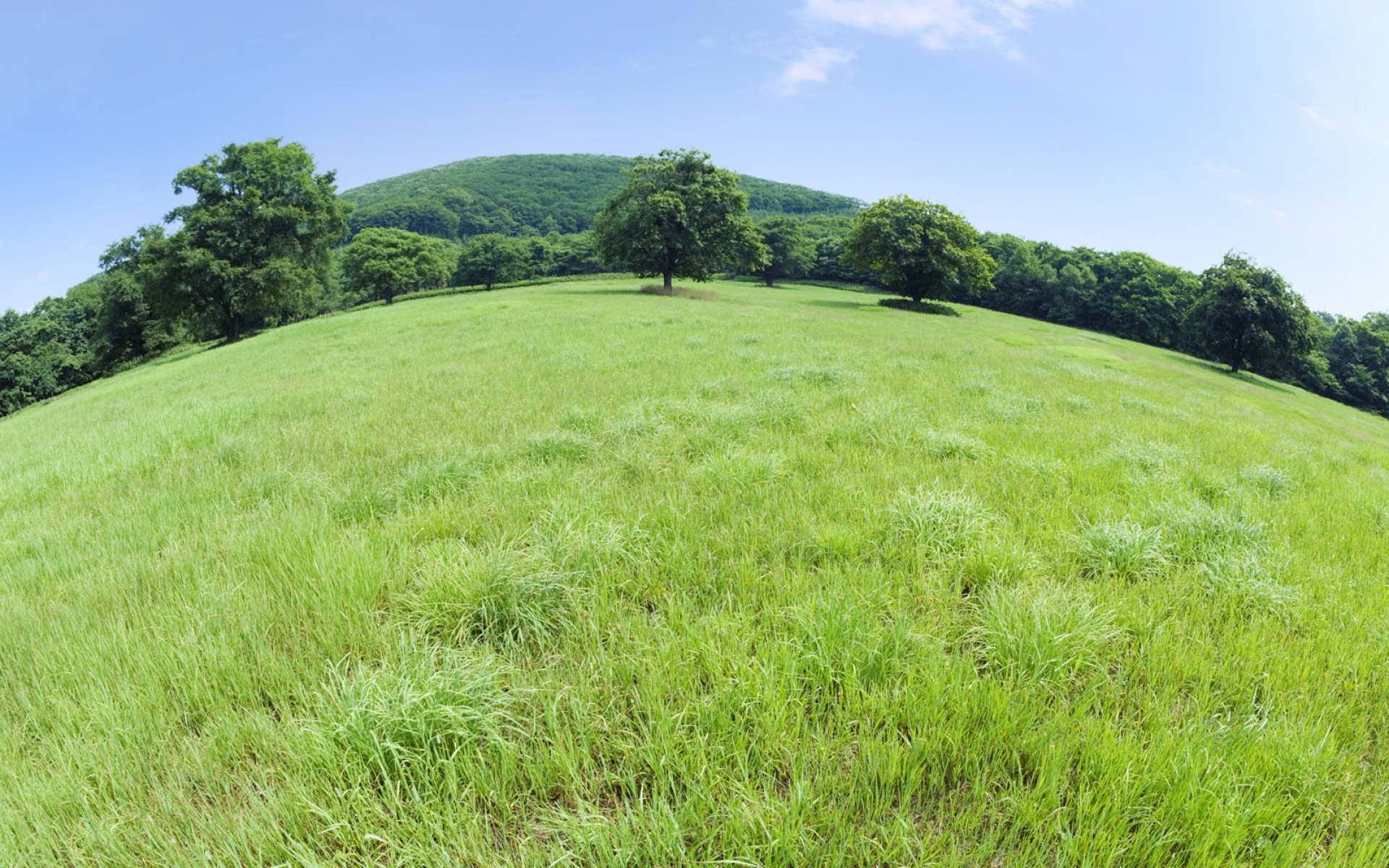 风景,碧绿草原,2012Y十一月11D,儿童桌面专用