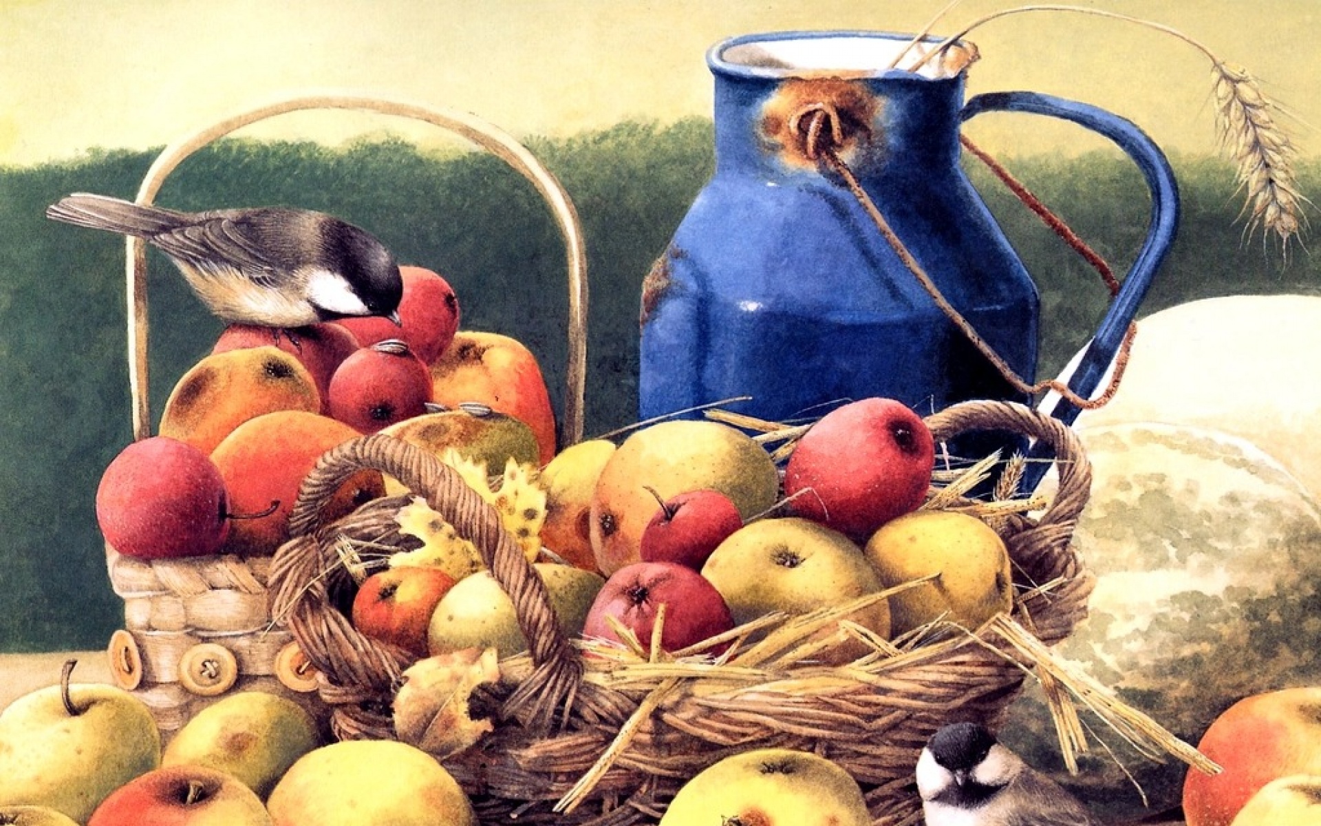 动物,绘画,风格,2012Y十一月10D,鸟,儿童桌面专用