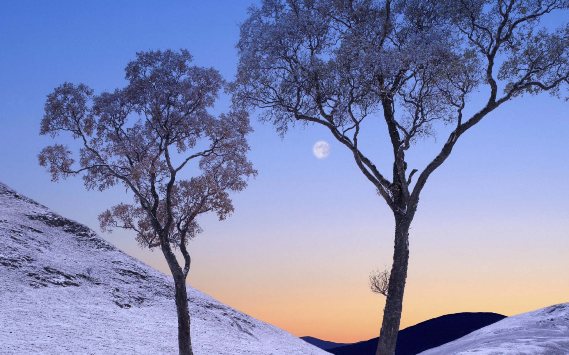 风景,冰天雪地,2012Y十一月04D,儿童桌面专用