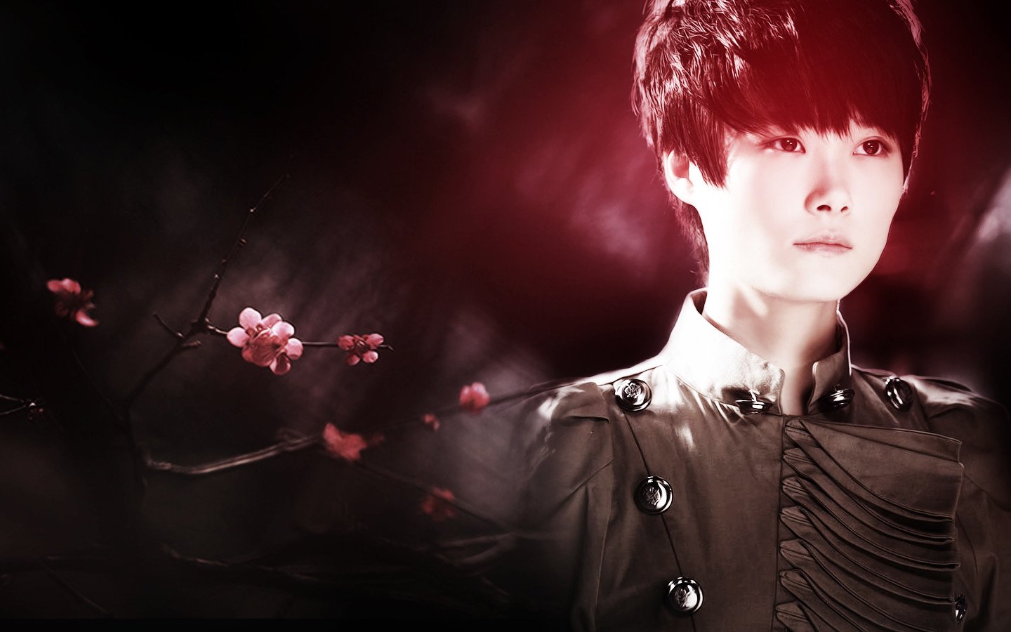 女明星,李宇春,十二月二十五日