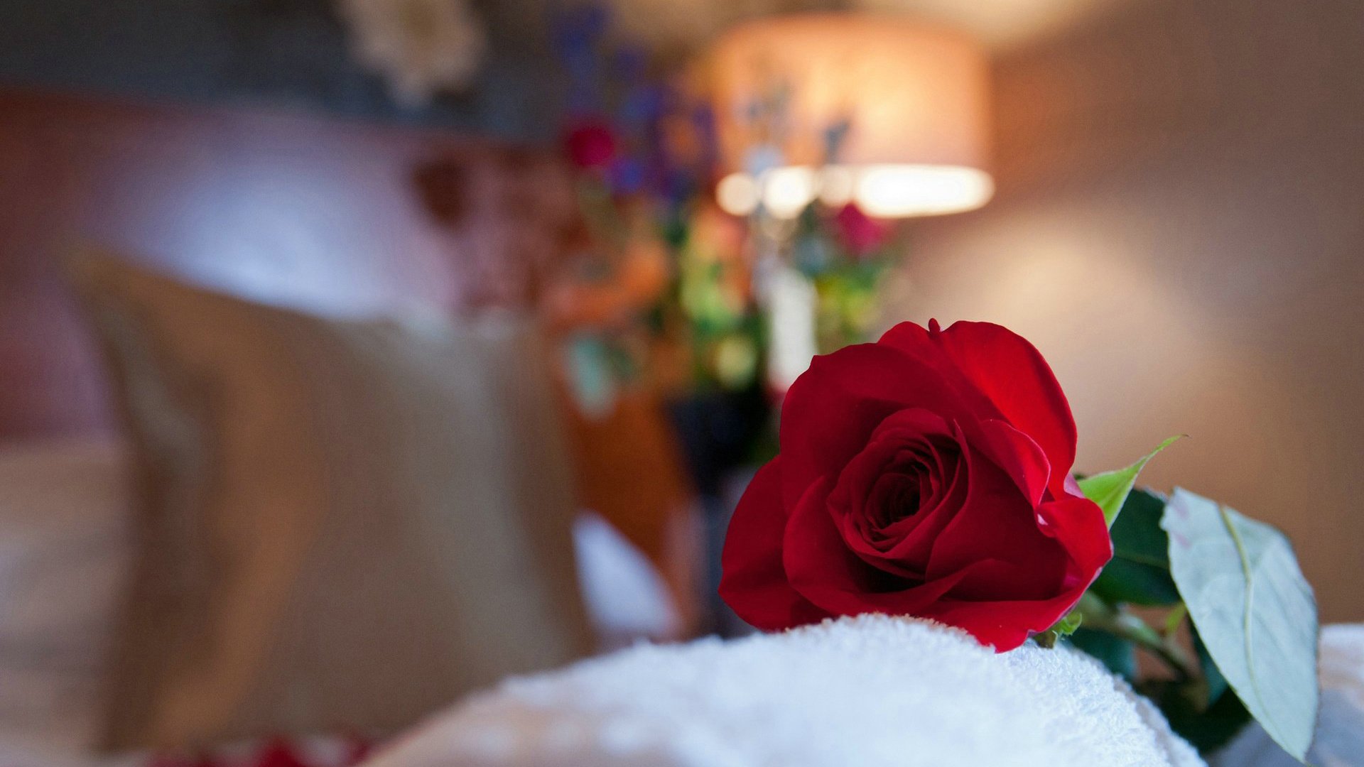 爱情,唯美温馨,美好,唯美,可爱,浪漫